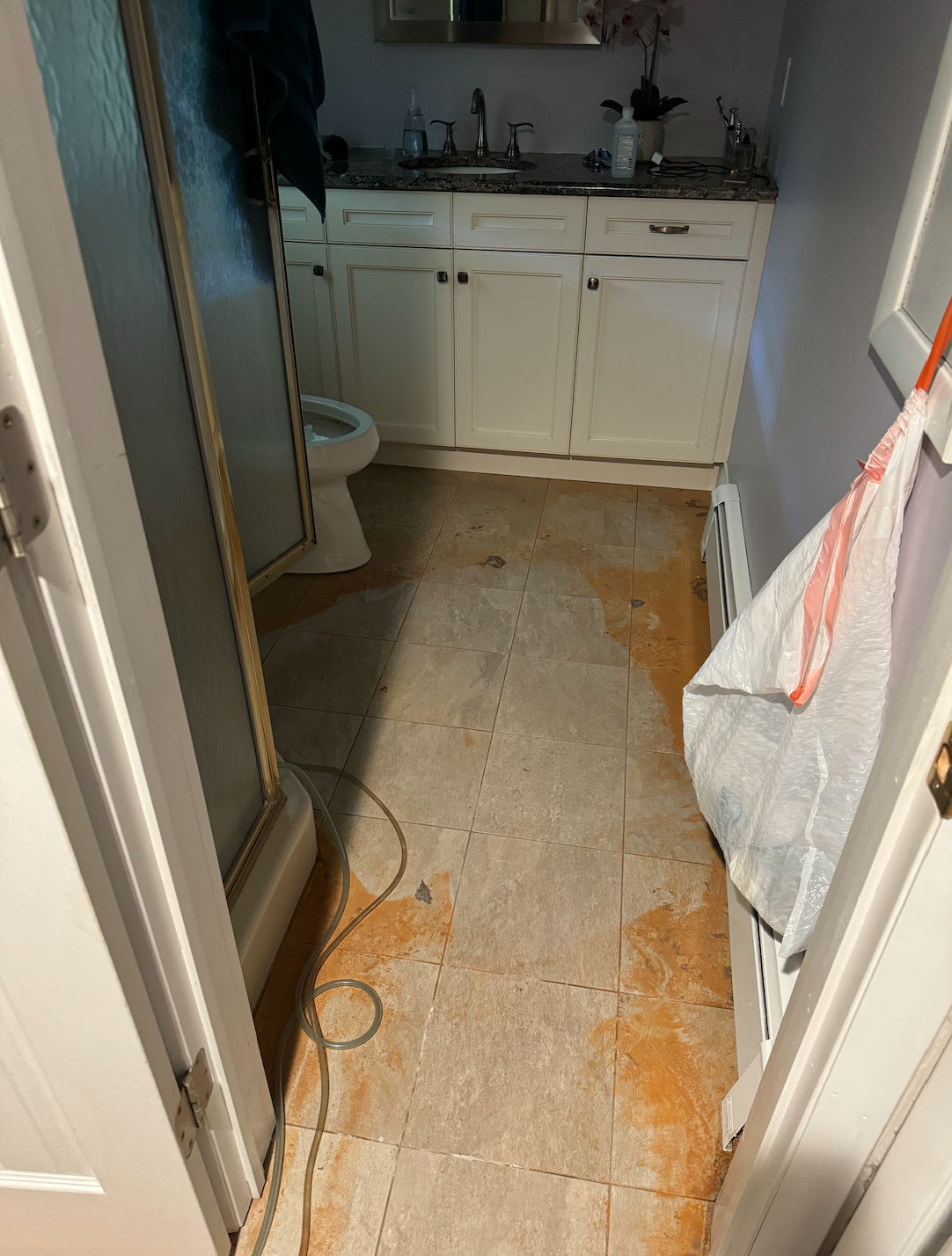 Water Damaged Bathroom  from Frozen Pipe - Before