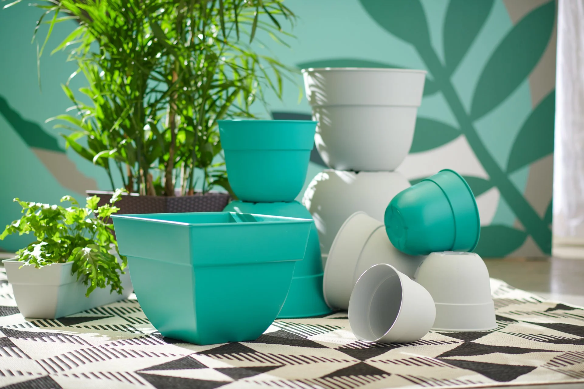 SHOT_04_Plastic_Planters_Collection_B0093_web.jpg