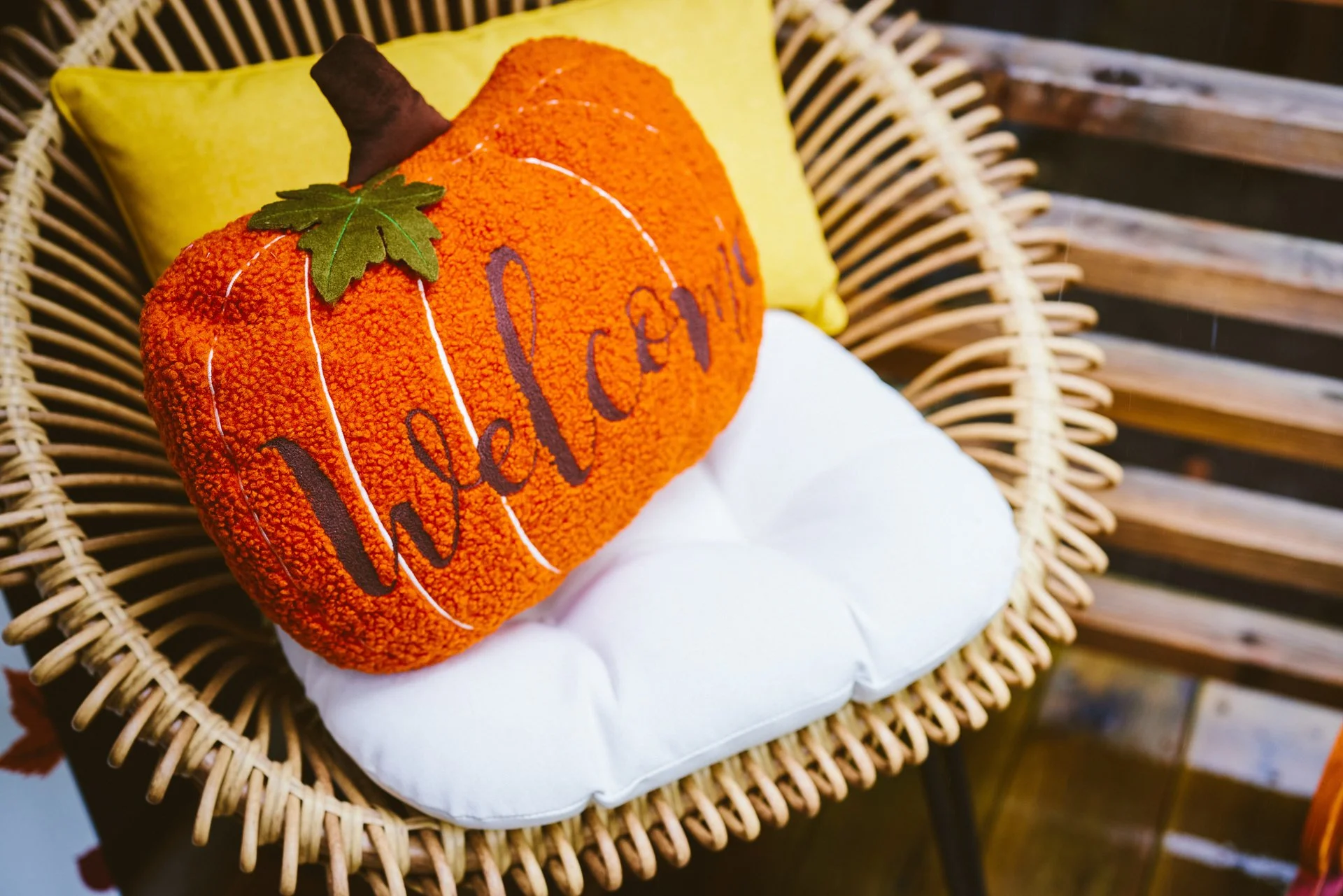Bargains_To_Brag_About_Harvest_Porch_8475-B0_web.jpg