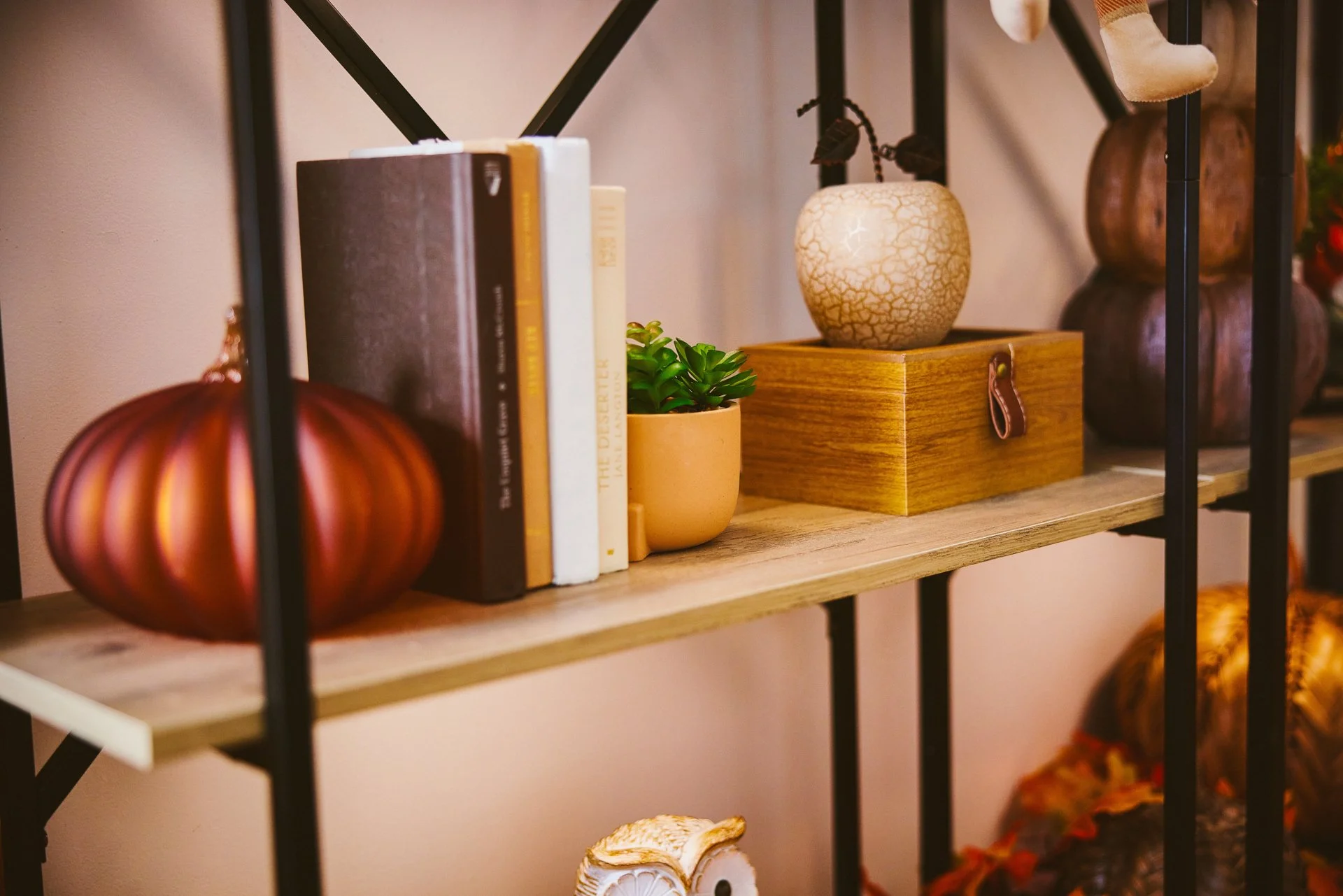 Bargains_To_Brag_About_Harvest_Home_Decor_8159-B0_web.jpg