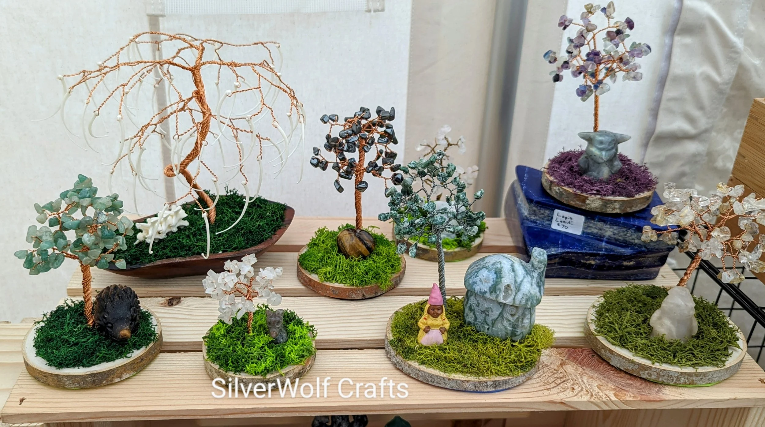 Mix of some including a Rattlesnake rib tree