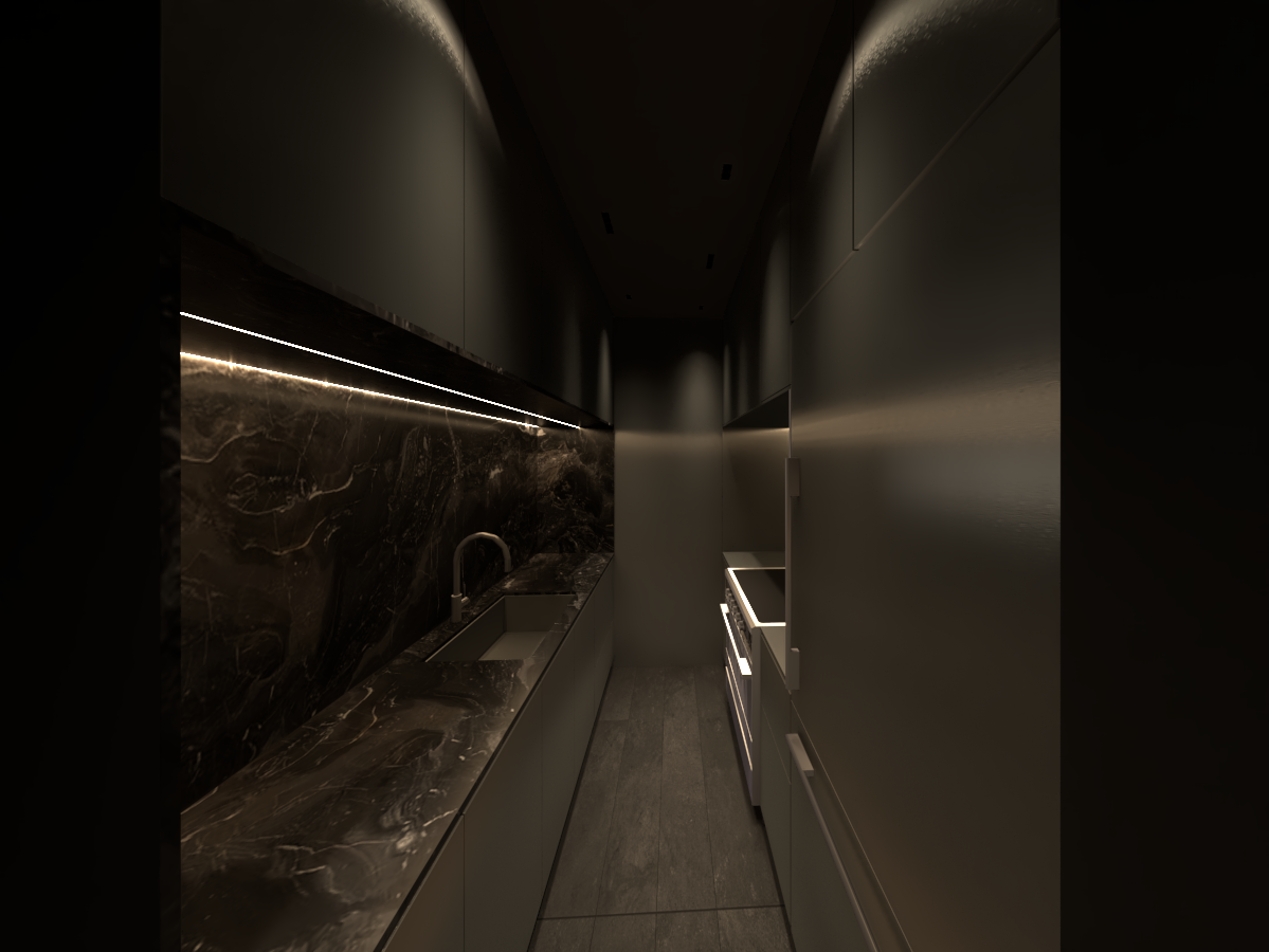 HK Reno Kitchen 1.png
