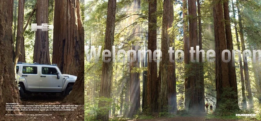 HUM WTTO-forrest.jpg