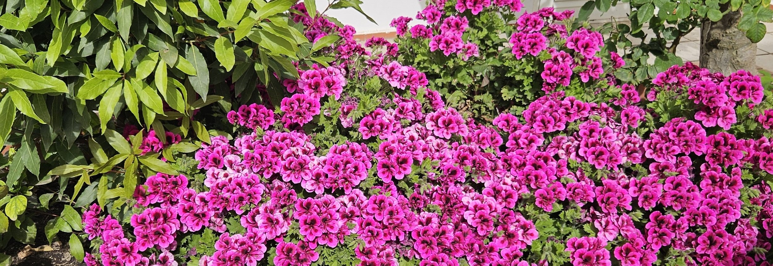 Spring into Health: The science behind some Spring tips