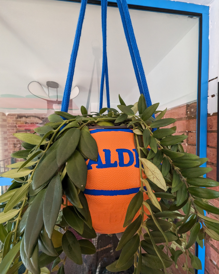 DIY: Upcycle Your Old Basketball into a Vibrant Hanging Planter  Rainbow  Shaker