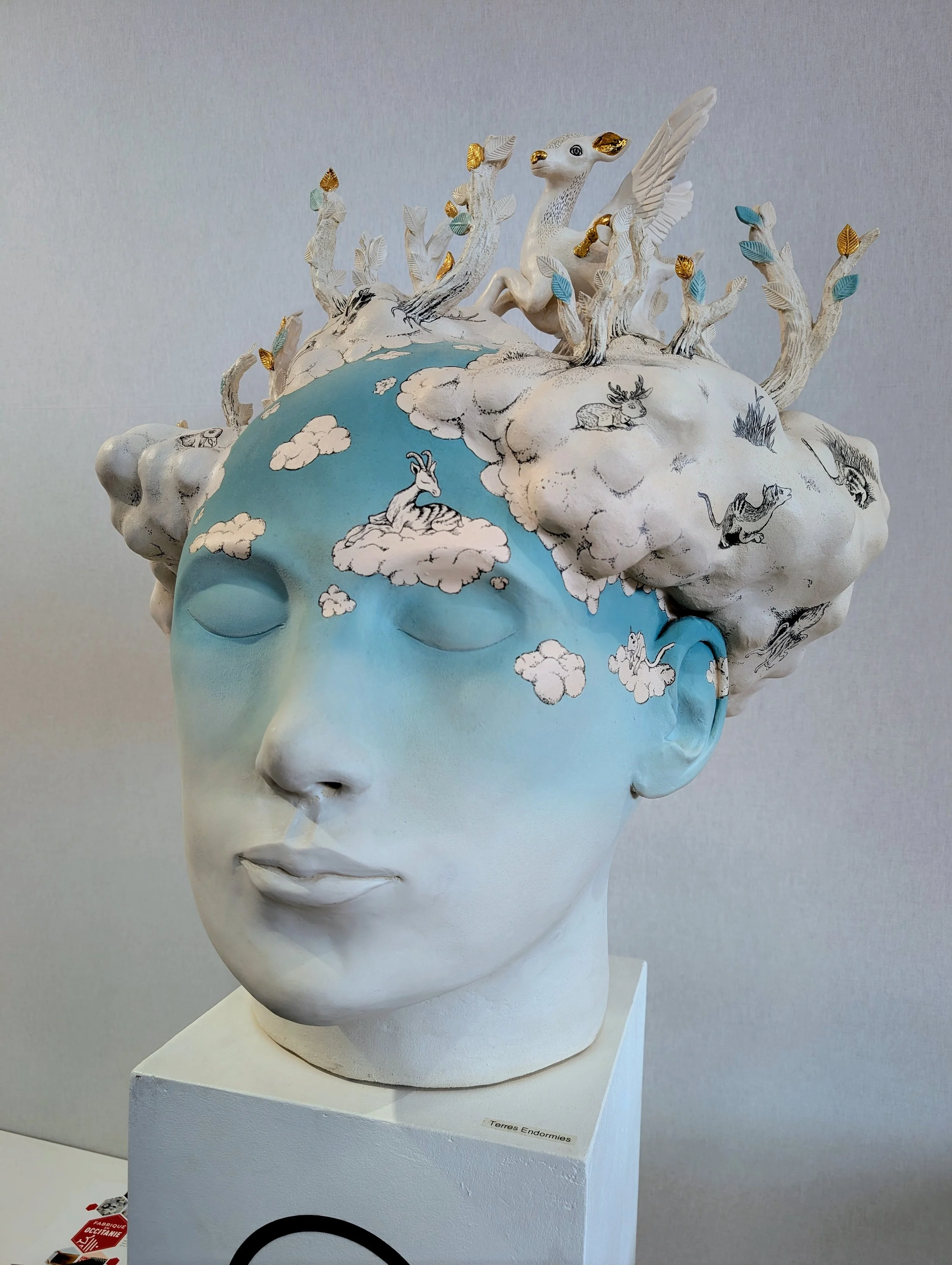 Terres Endormies by Aster Cassel
