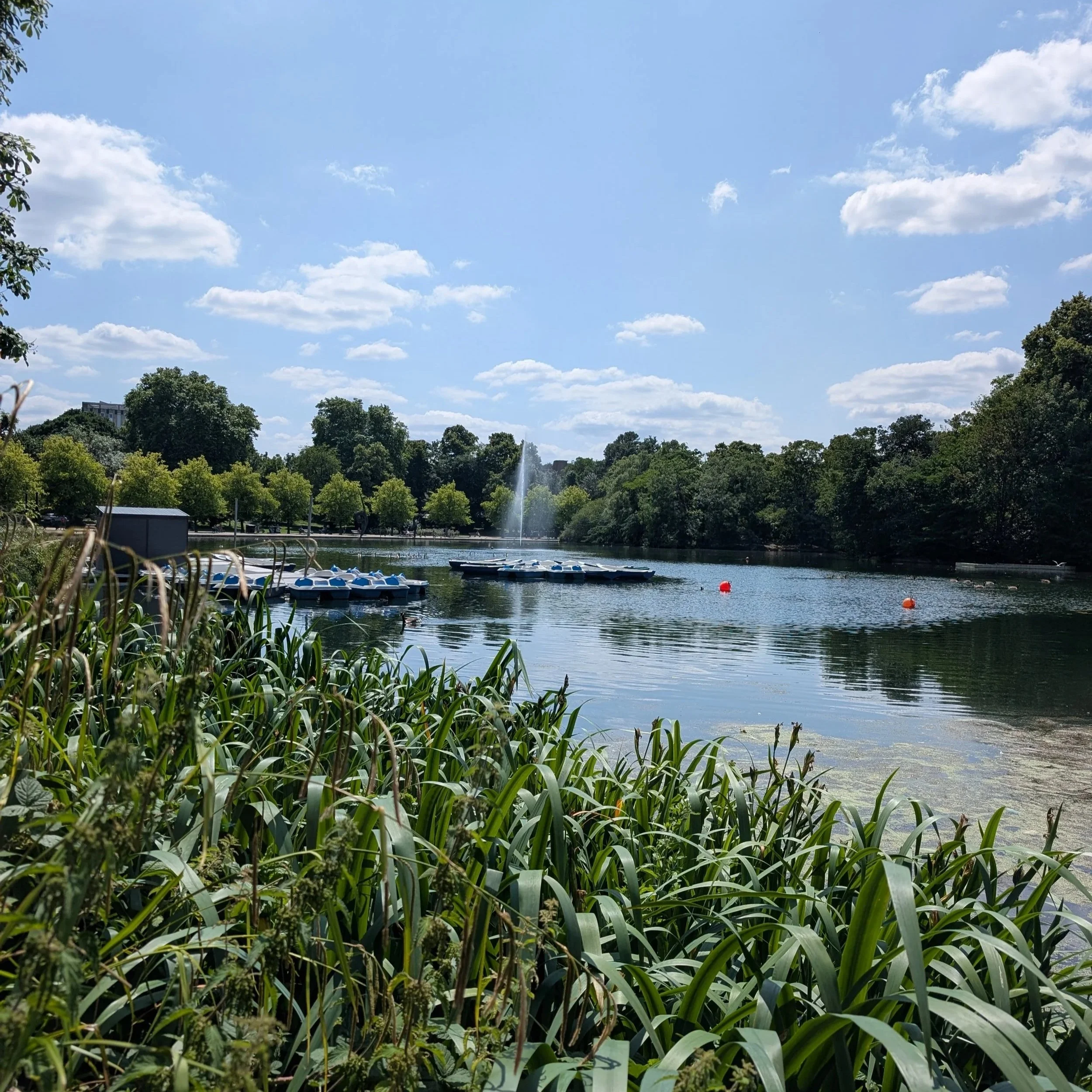 Victoria Park in Summer