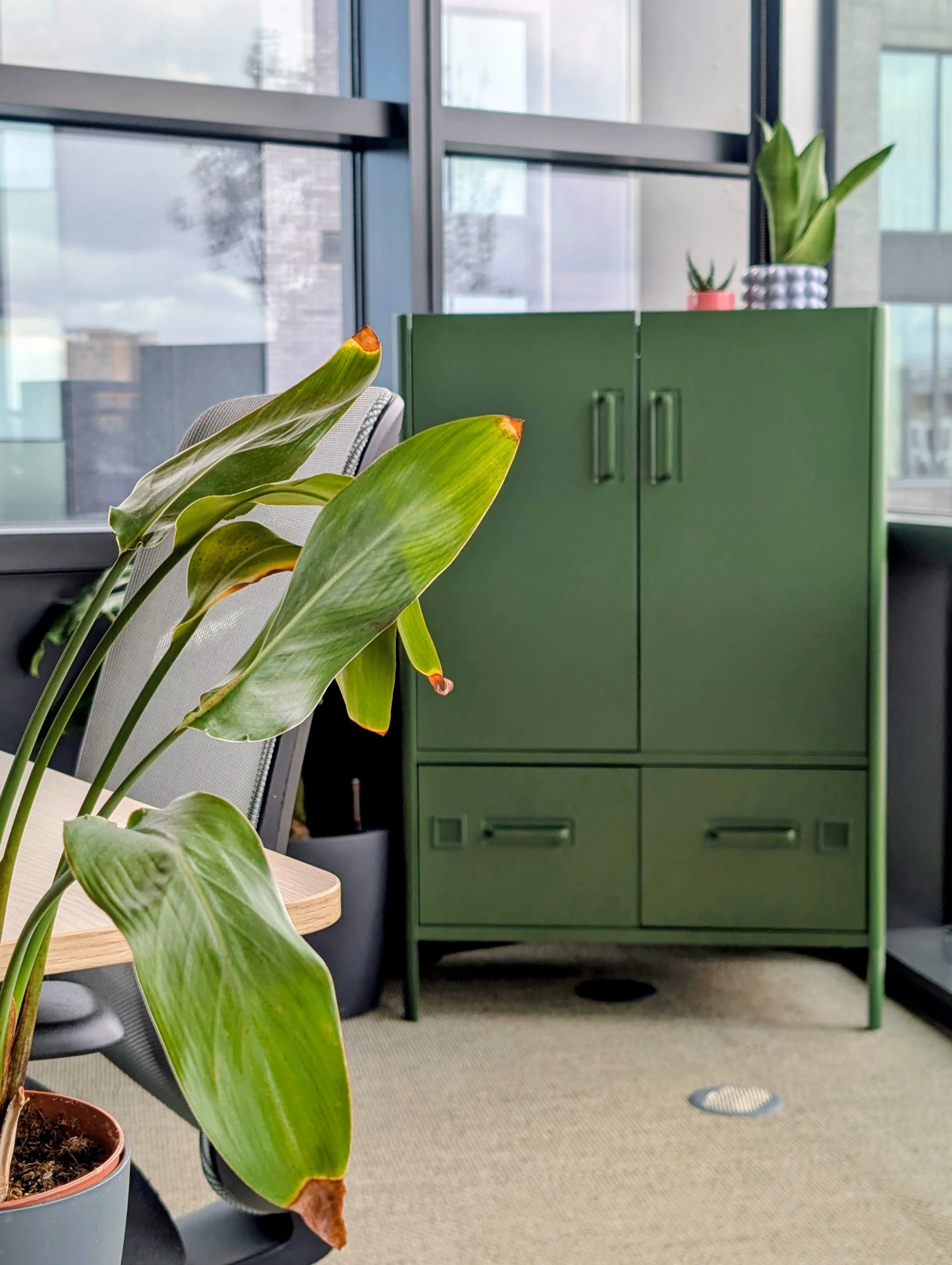 Rainbow Shaker - biophilic office design