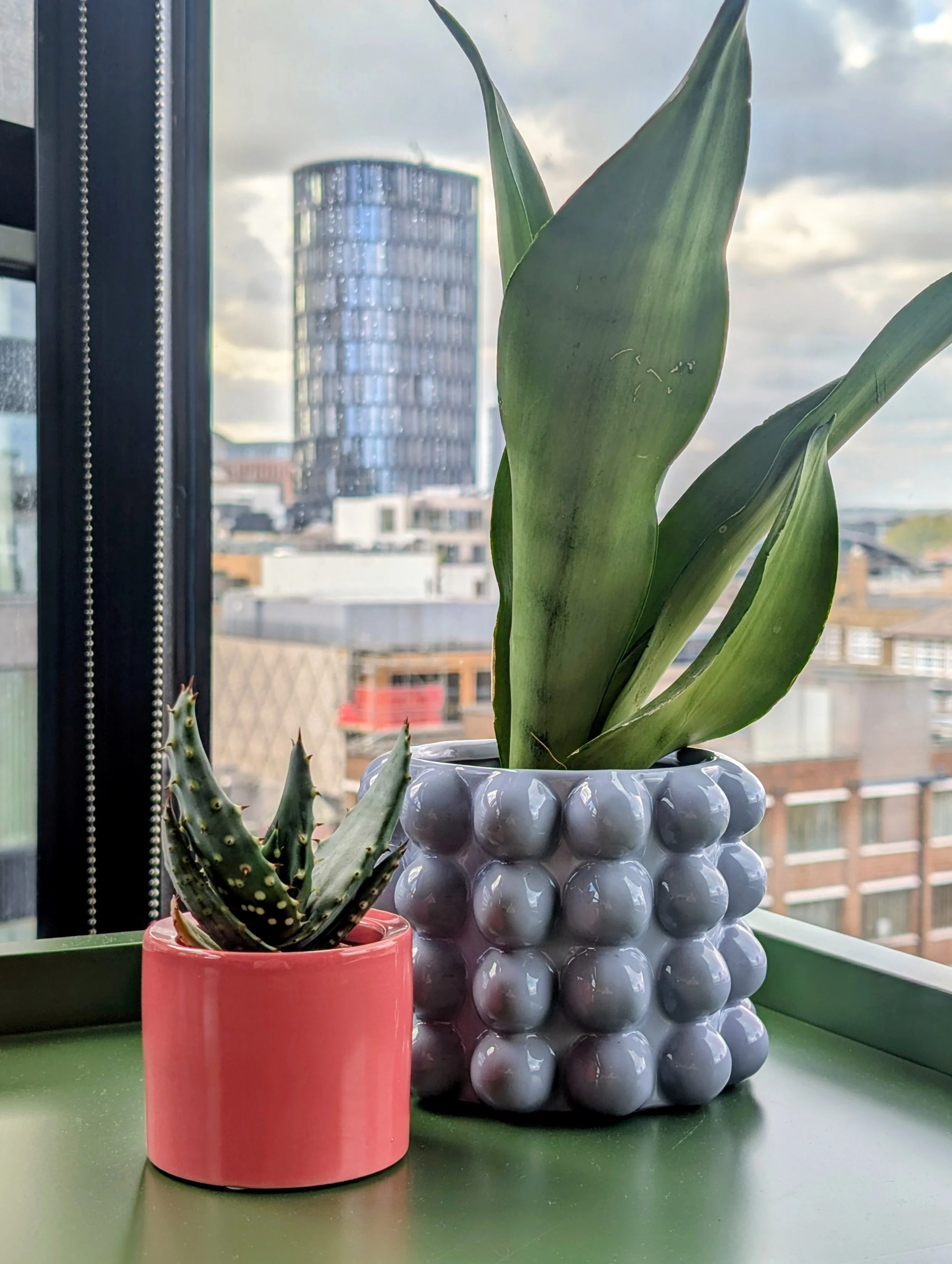Rainbow Shaker - biophilic office design