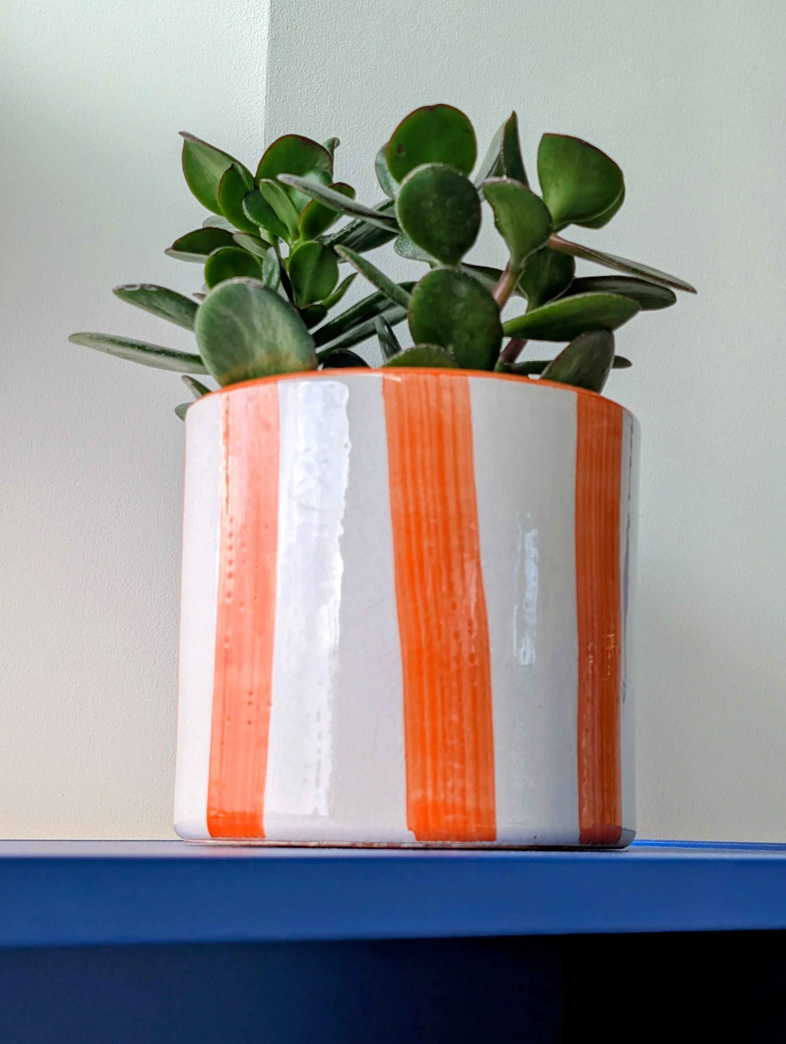 Rainbow Shaker - biophilic office design