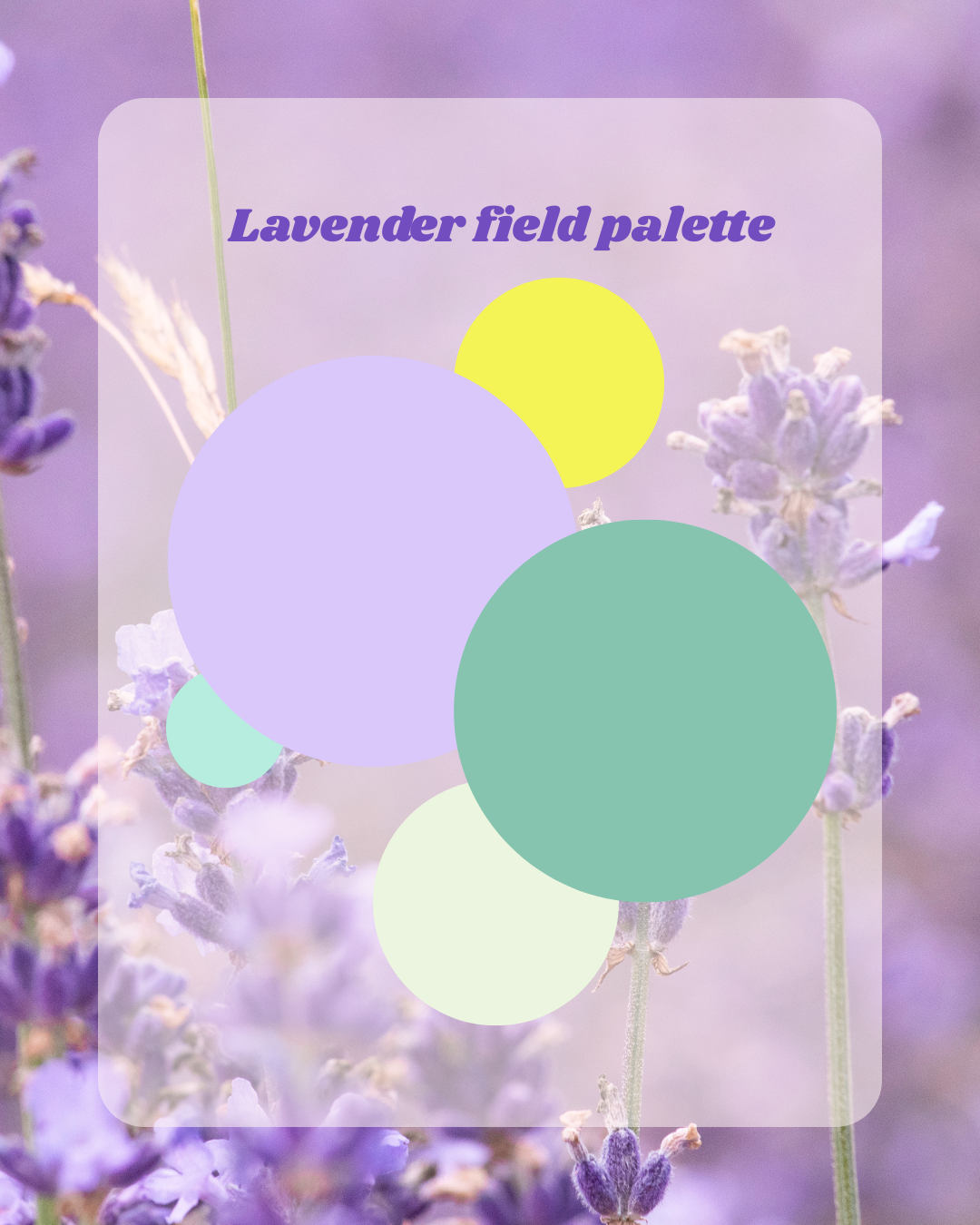 Holiday Palette Rainbow Shaker - Lavender Field Palette