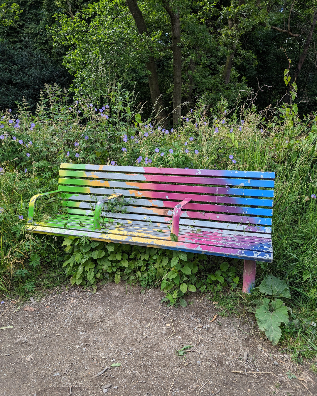 Colourful bench in a park