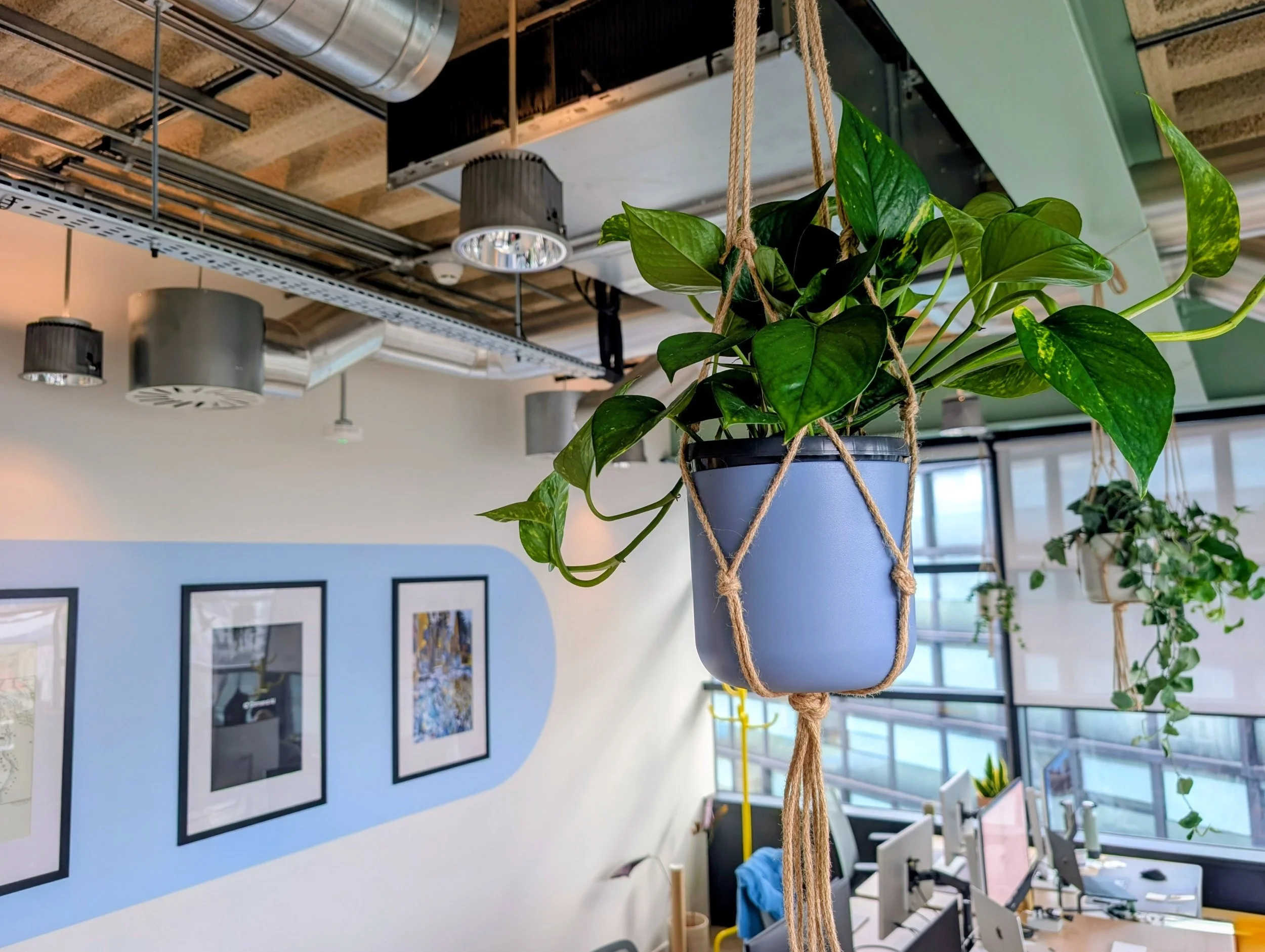 Rainbow Shaker - biophilic office design