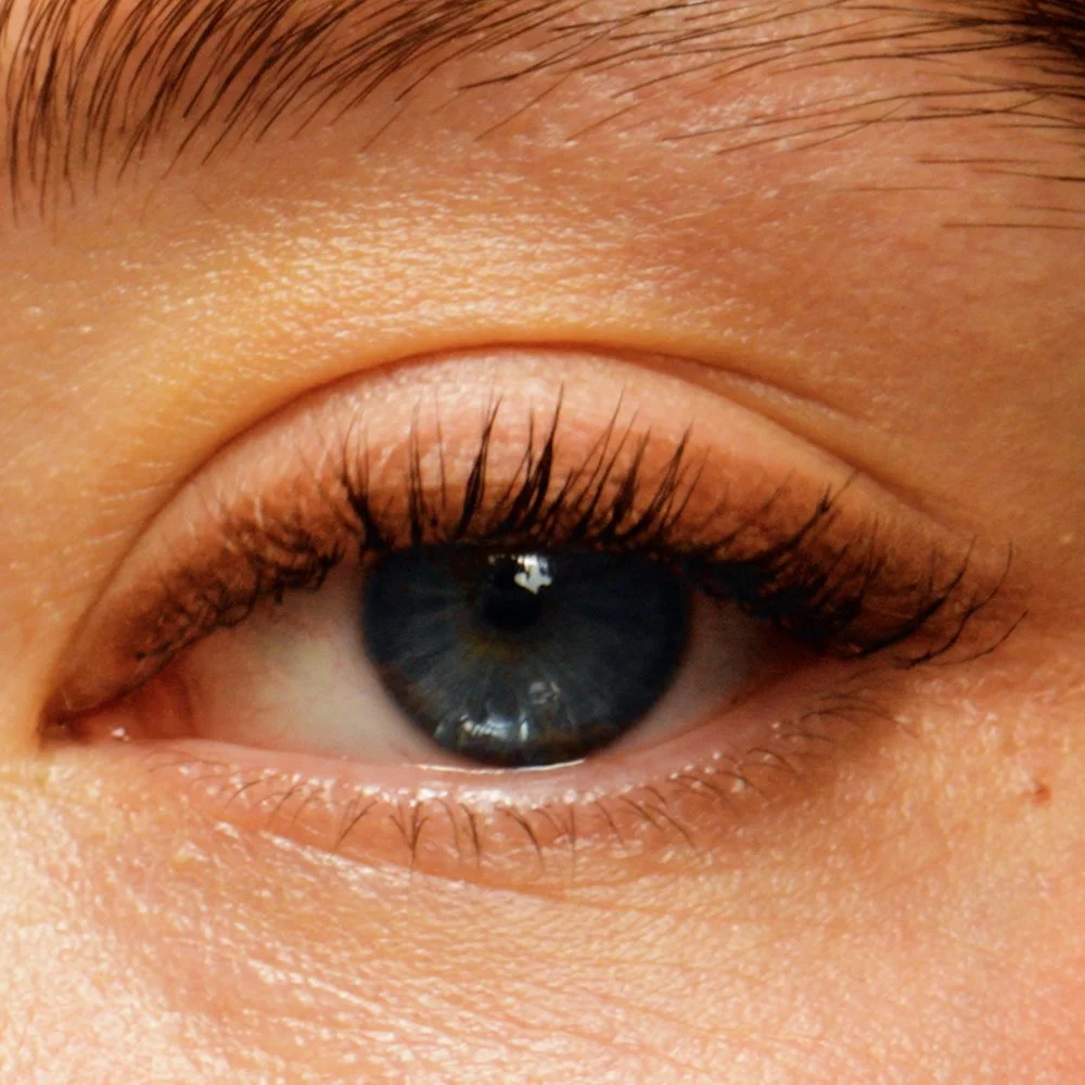 PDP_Umber One.00_00_00_07.Still002.jpg