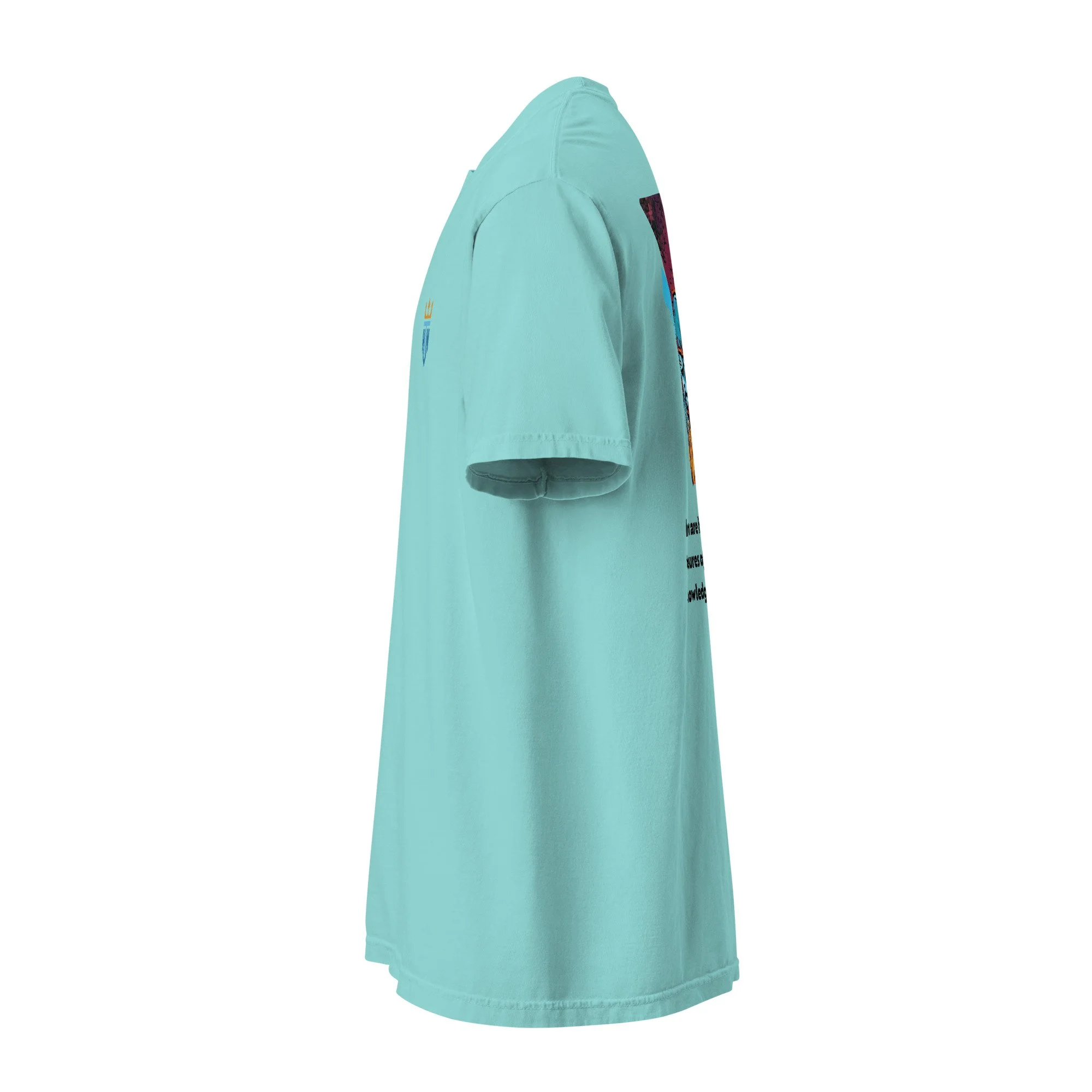 unisex-garment-dyed-heavyweight-t-shirt-lagoon-blue-left-678581ca49013.jpg