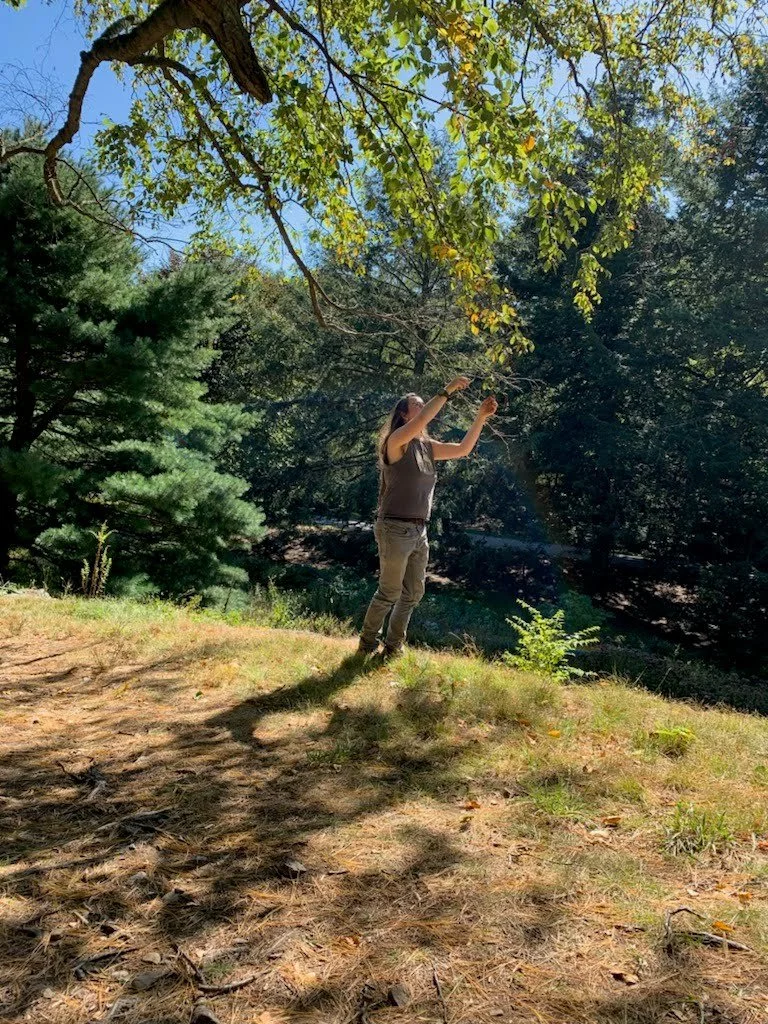 8aaeed19d5f135d7f4cc3e413376bb17d5c49fc7-1 (2).jpeg