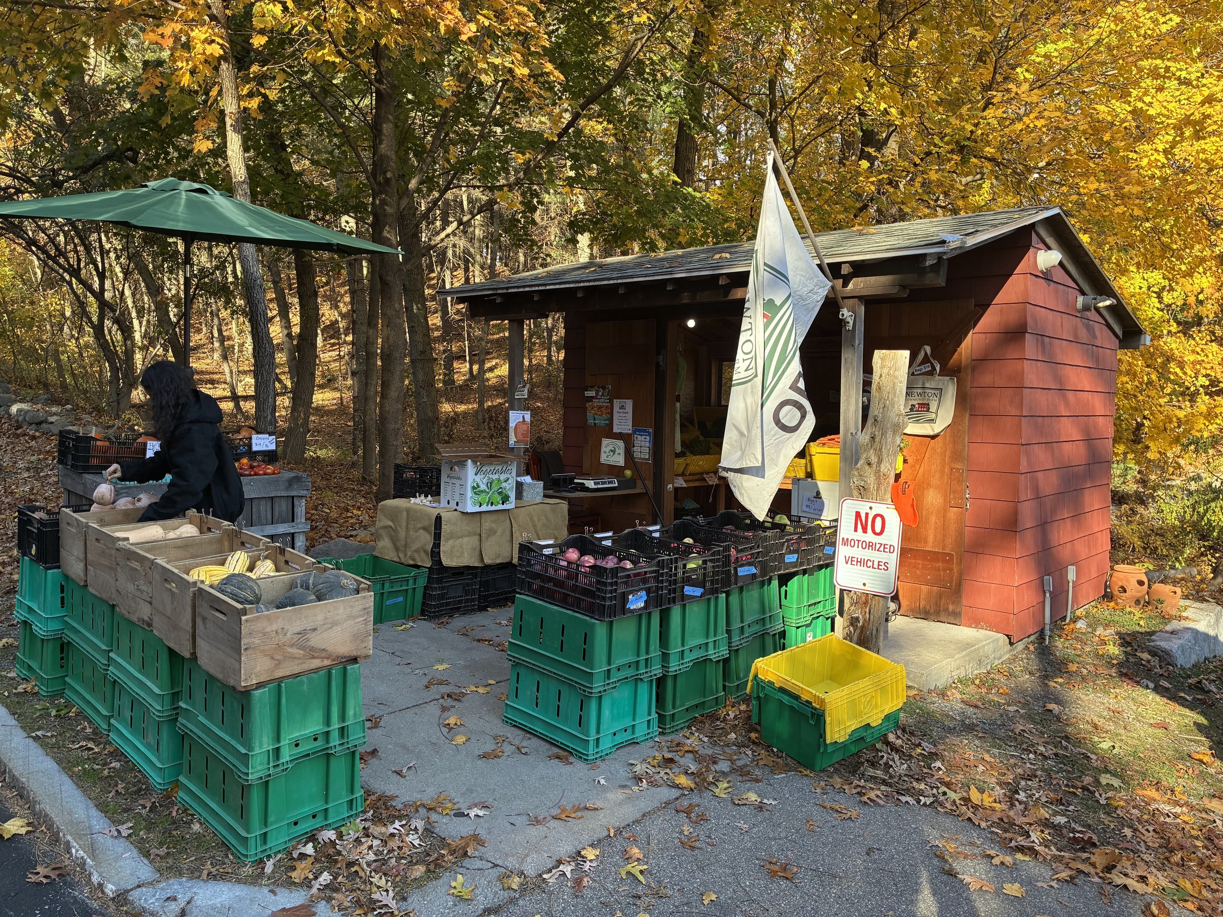 Farm Stand opening day