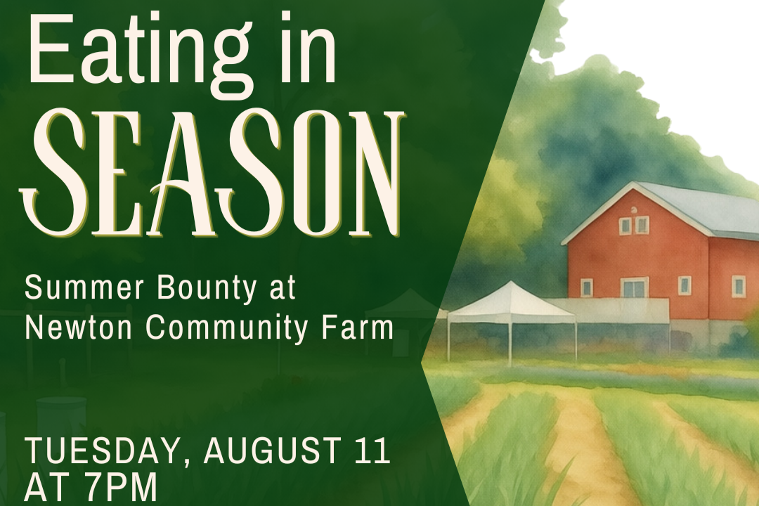 Eating in Season: Summer Bounty at Newton Community Farm