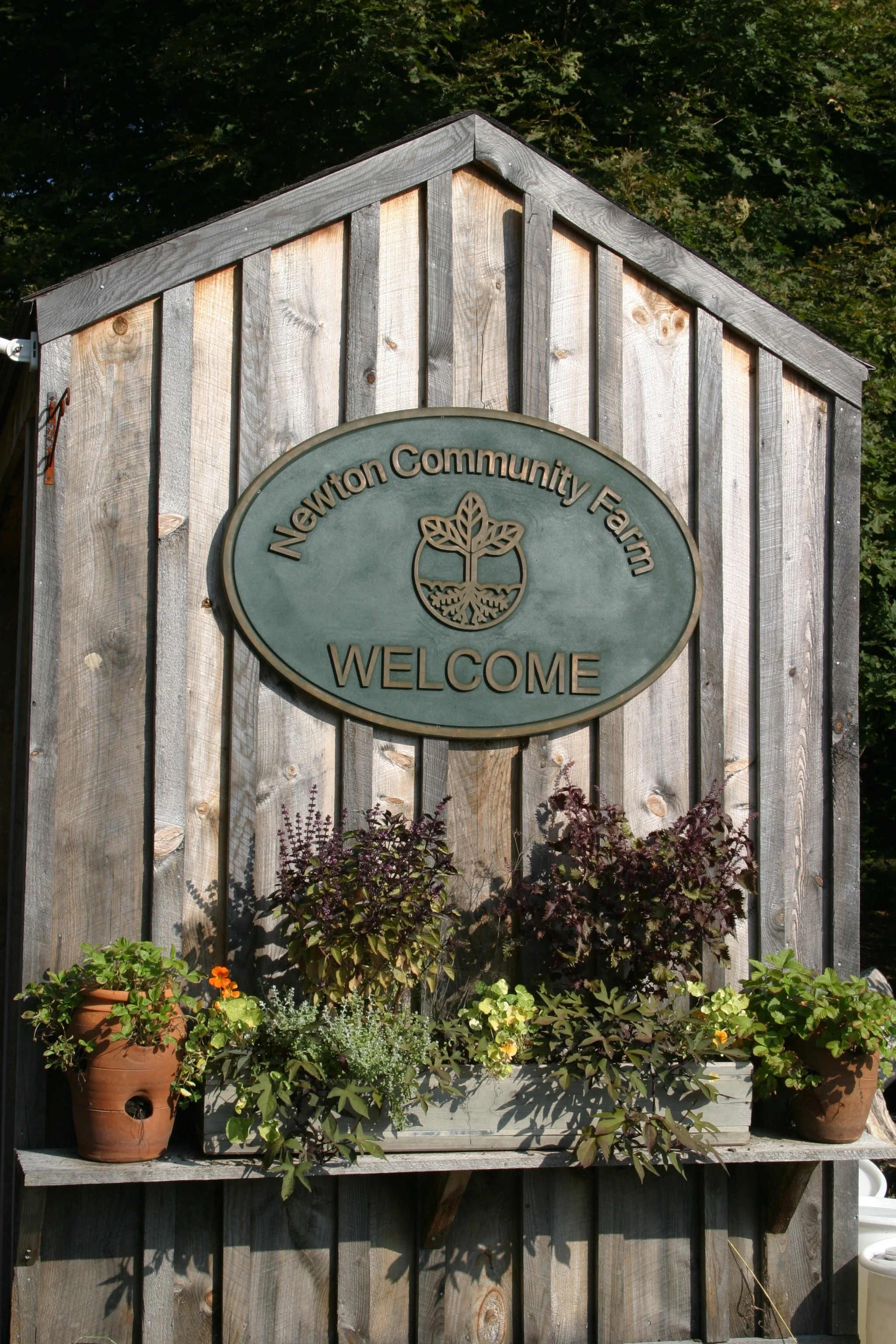 Putting the 'Community' in Community Farms