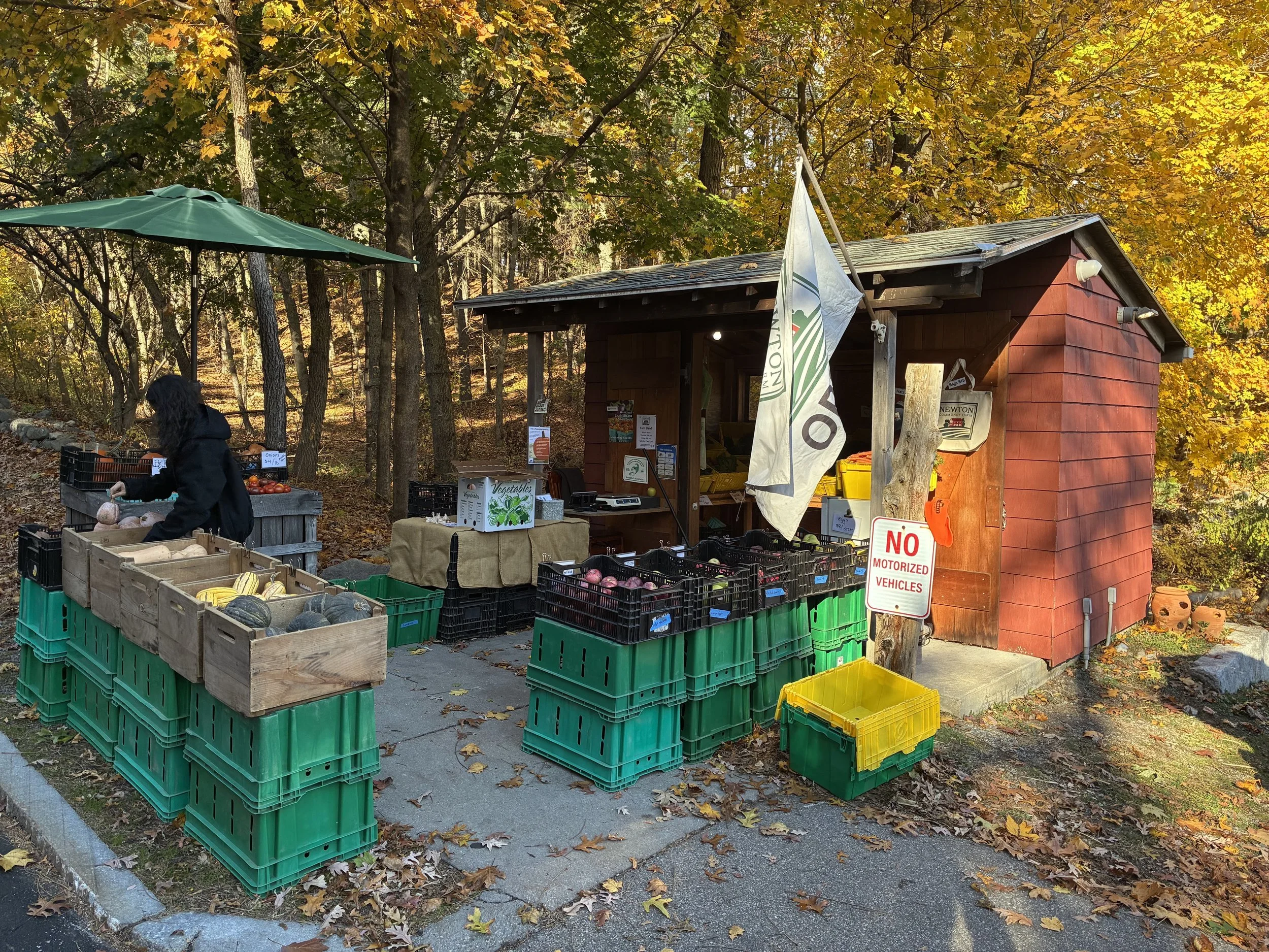 A picture of a red shed with an open flag and various apples and winter squash in front of it