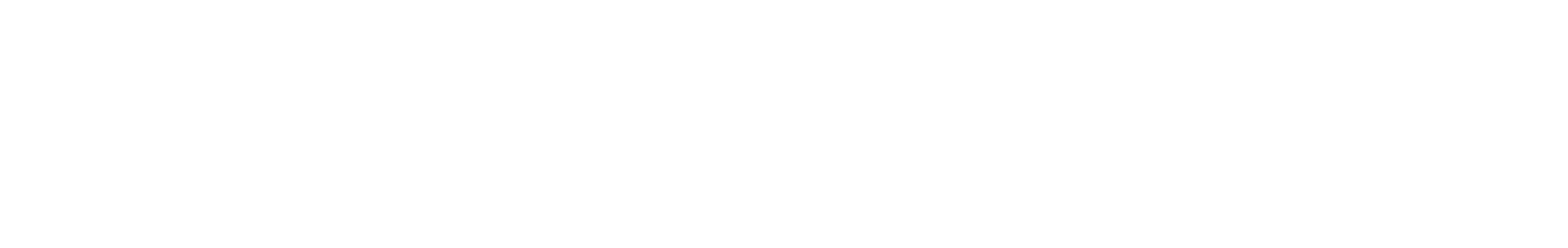 shiseido (1).png
