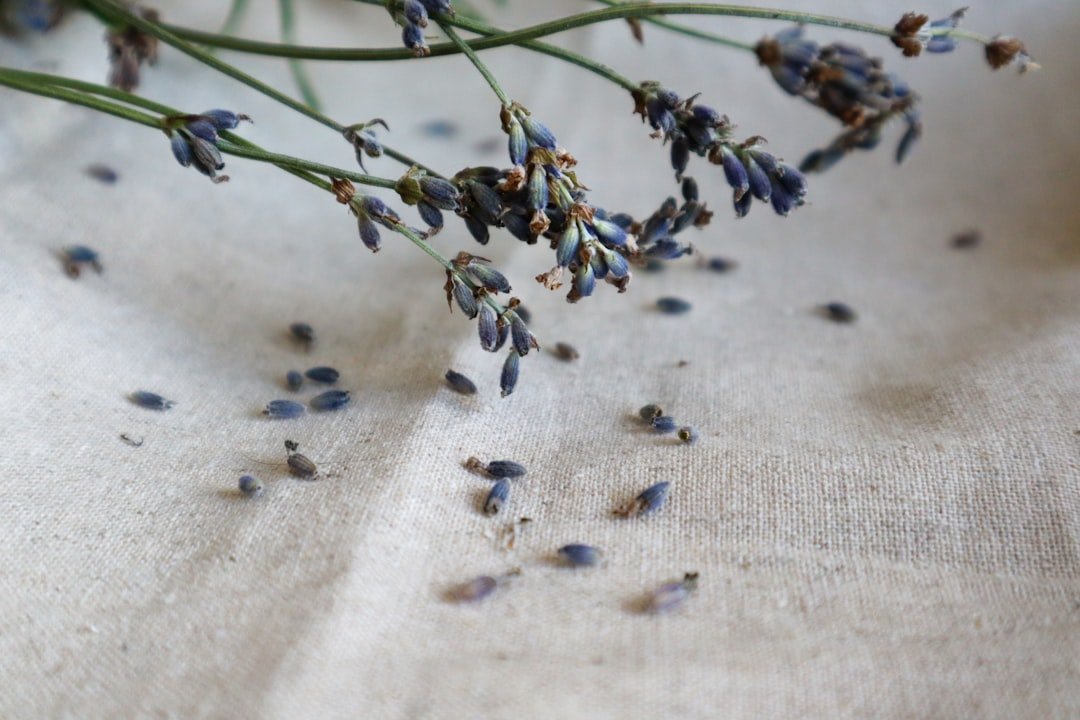 Linen Spray