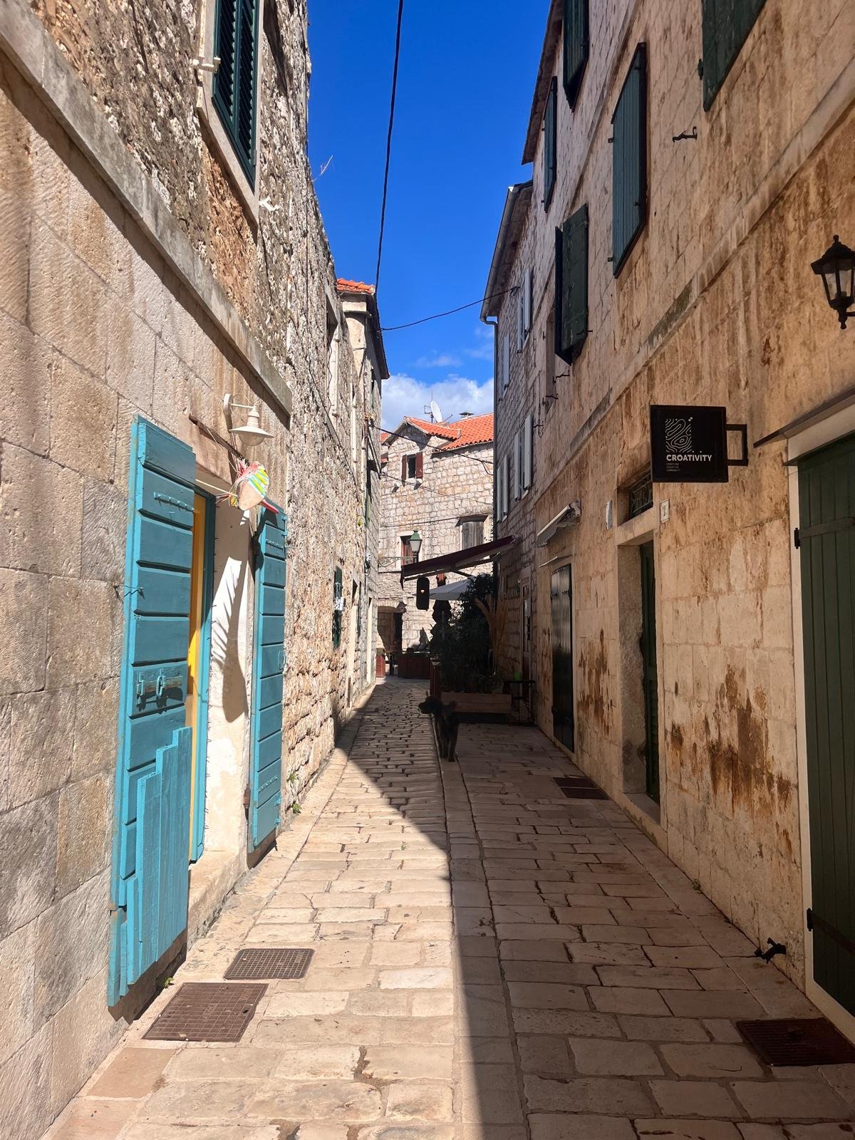 A narrow stone alleyway between old stone buildings with colorful shutters, under a bright blue sky. A black dog is walking in the middle of the alley. Shadows cast across the cobblestone path.
