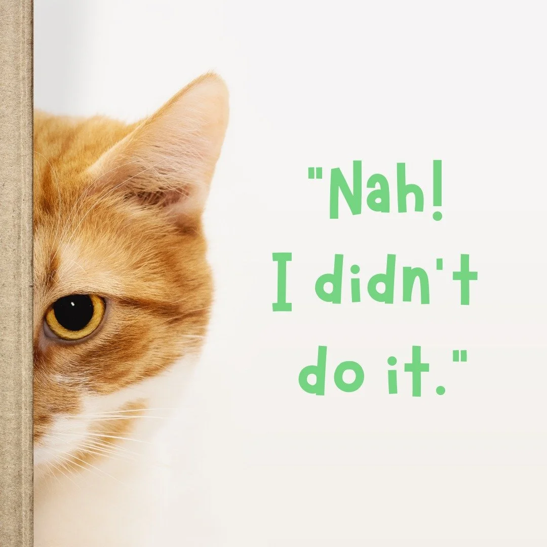 Too bad that excuse doesn&rsquo;t hold up in court. 😼

Whether it&rsquo;s a trademark dispute, a business disagreement, or a messy partnership split&hellip;

Let&rsquo;s just say &lsquo;the cat did it&rsquo; won&rsquo;t cut it.
Luckily, we help you 