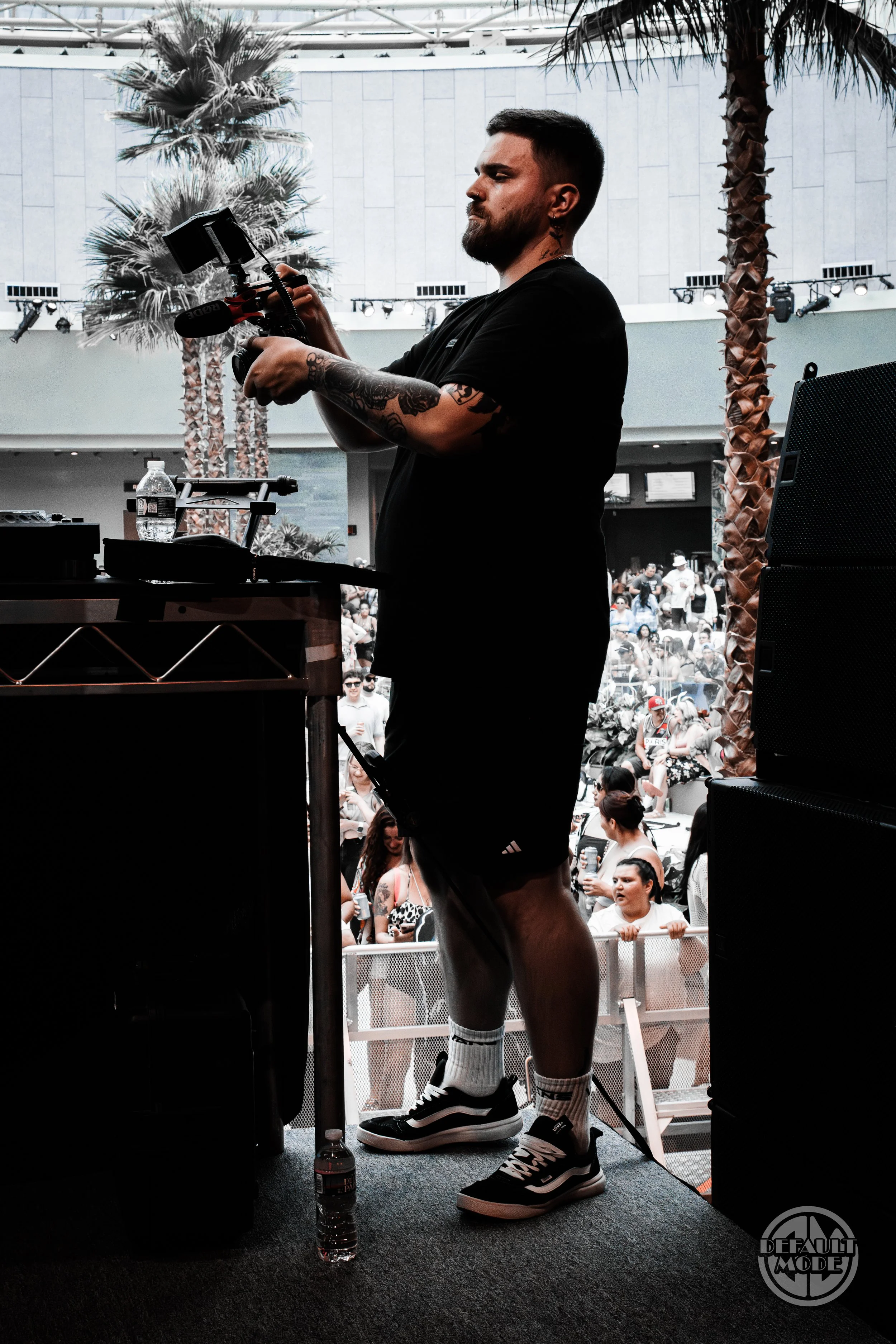 Djing performer on stage at an outdoor event with palm trees and crowd in the background.