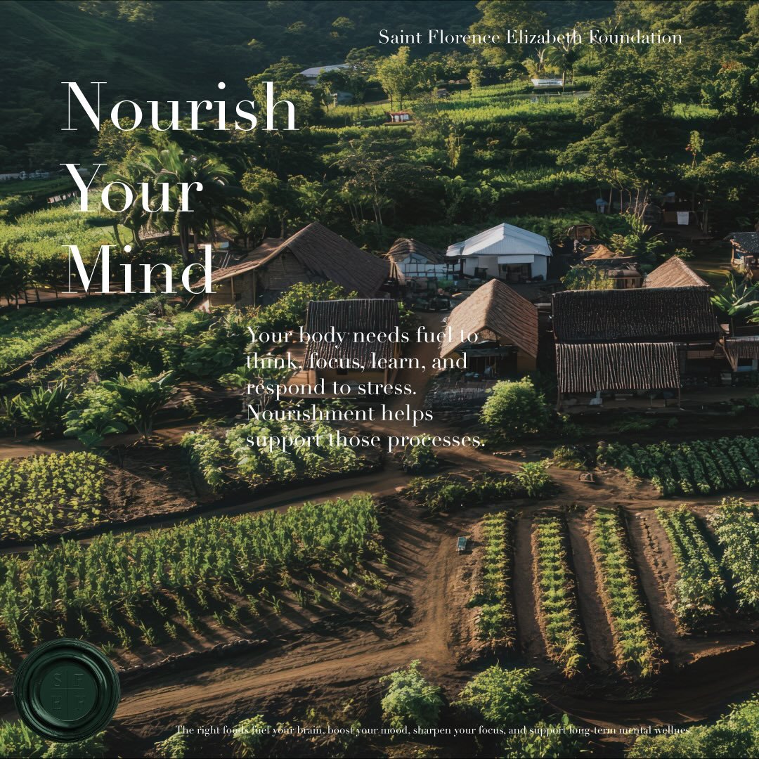Your body needs fuel to think /focus, learn, and respond to stress.
Nourishment helps support those processes: