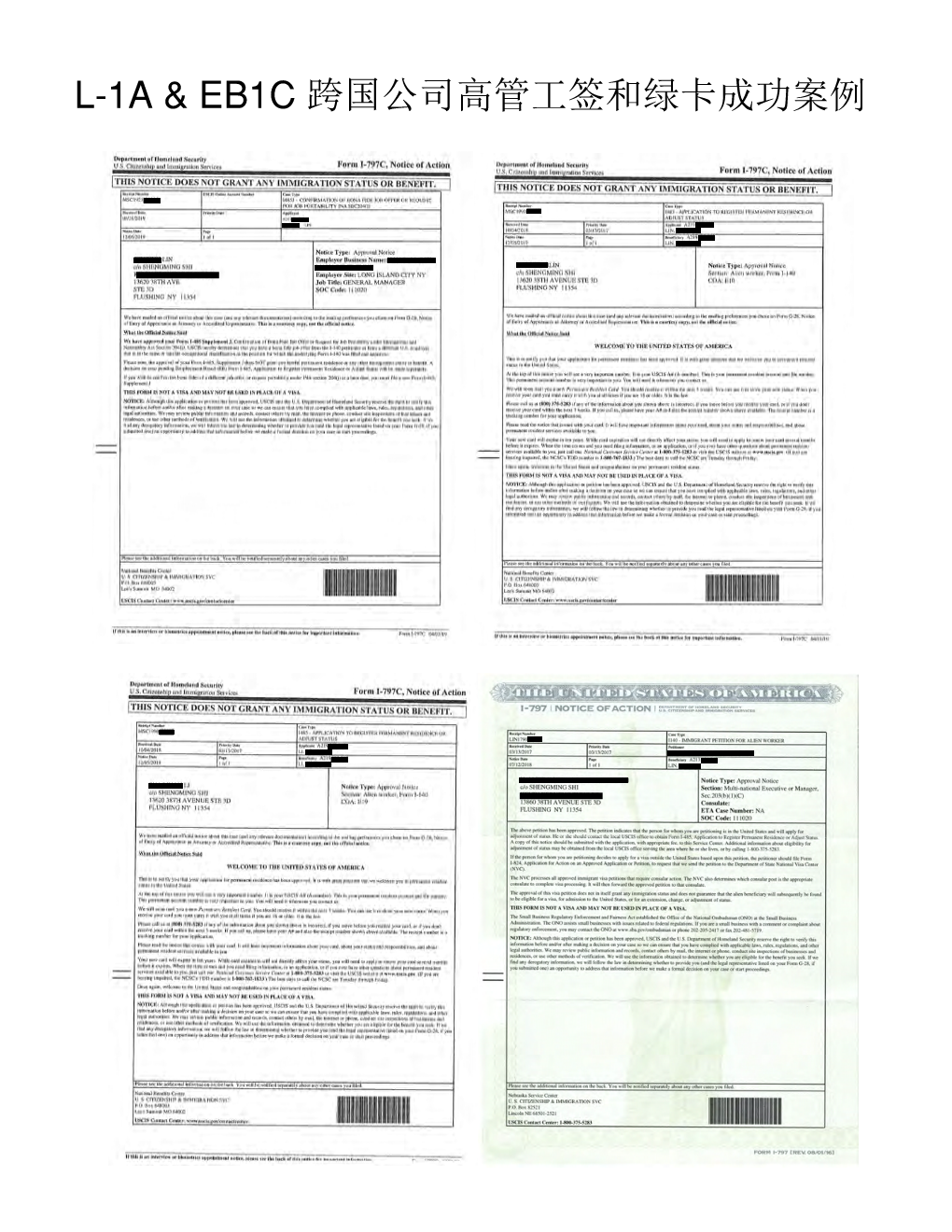 L-1A & EB1C 跨国公司高管签证和绿卡成功案例汇总_CC Page 005.png