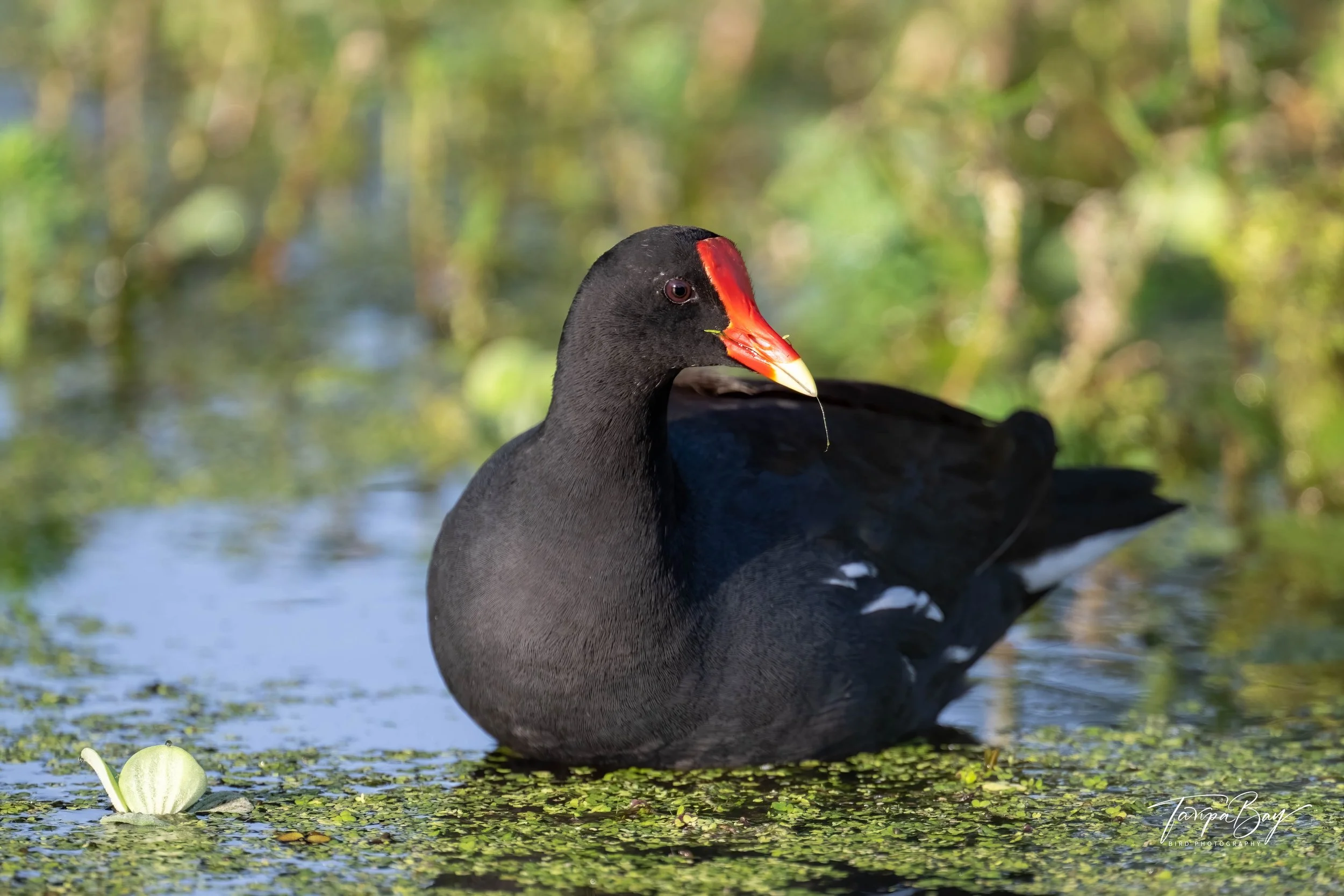 Z92_2428-Edit-4.jpg