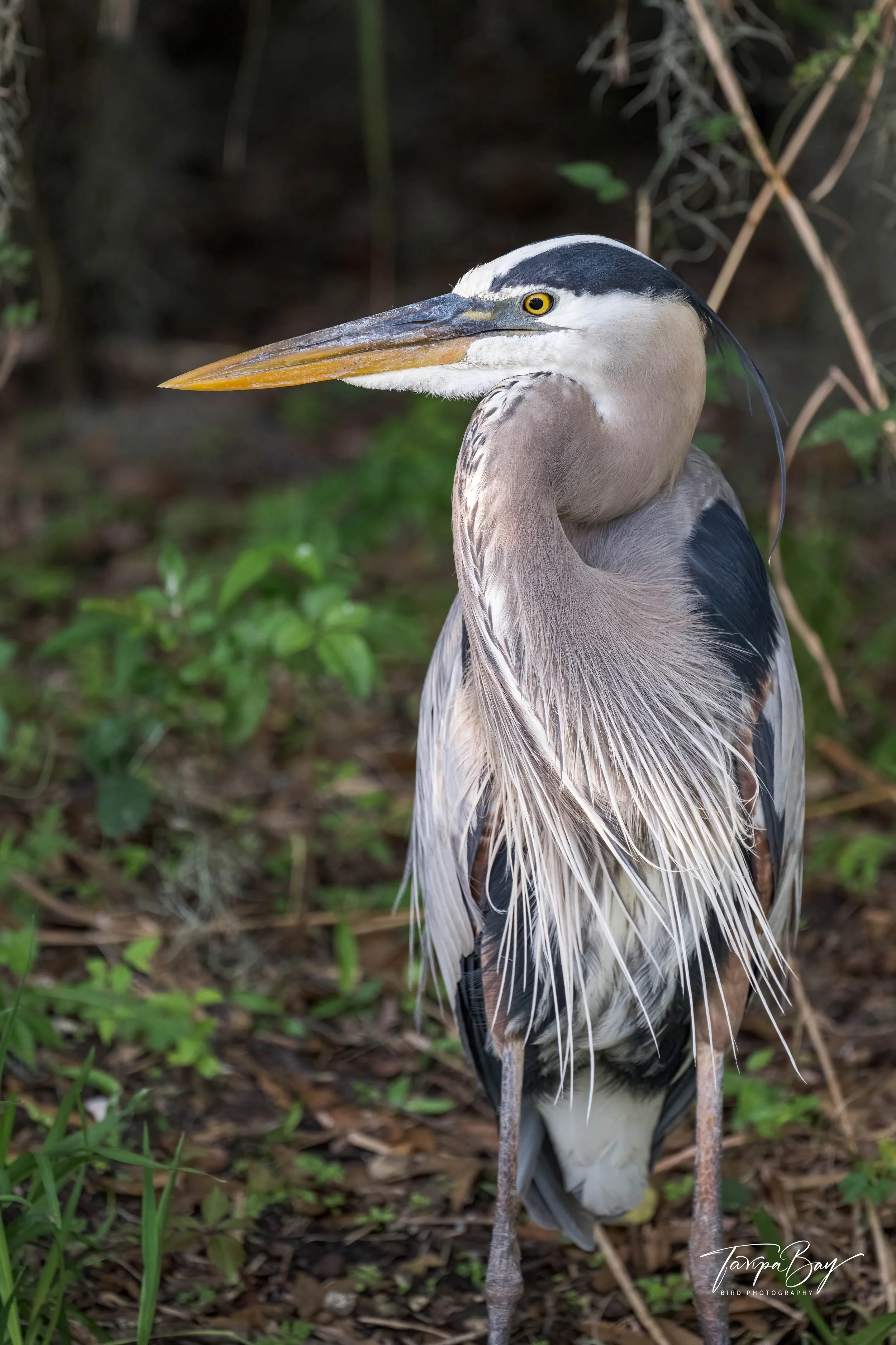 Z92_2378-Edit-3.jpg