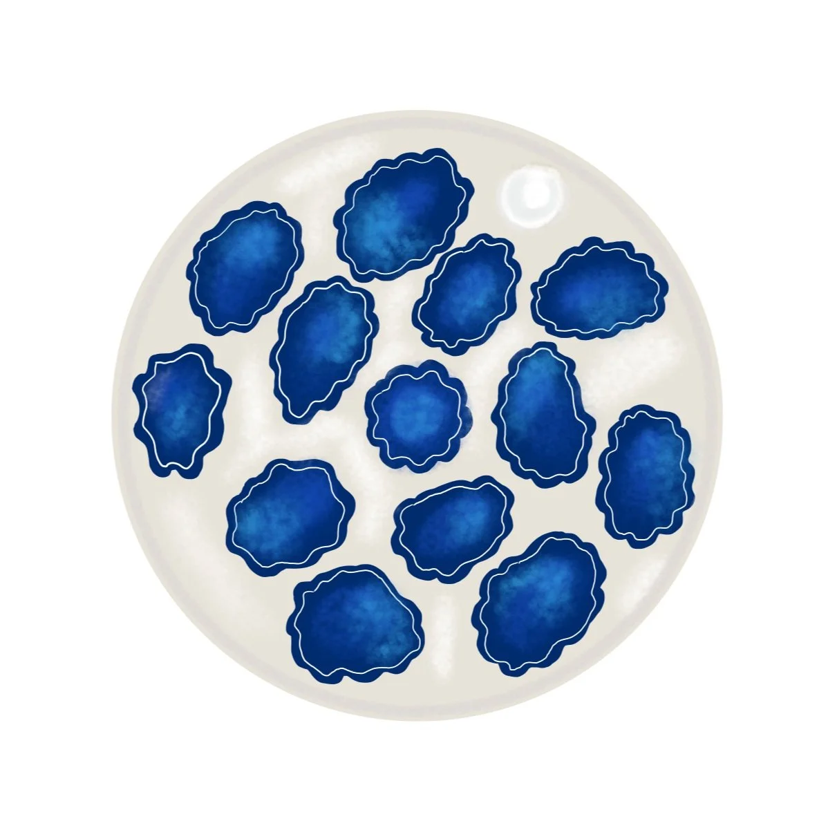 Note Apr 23, 2026.jpg