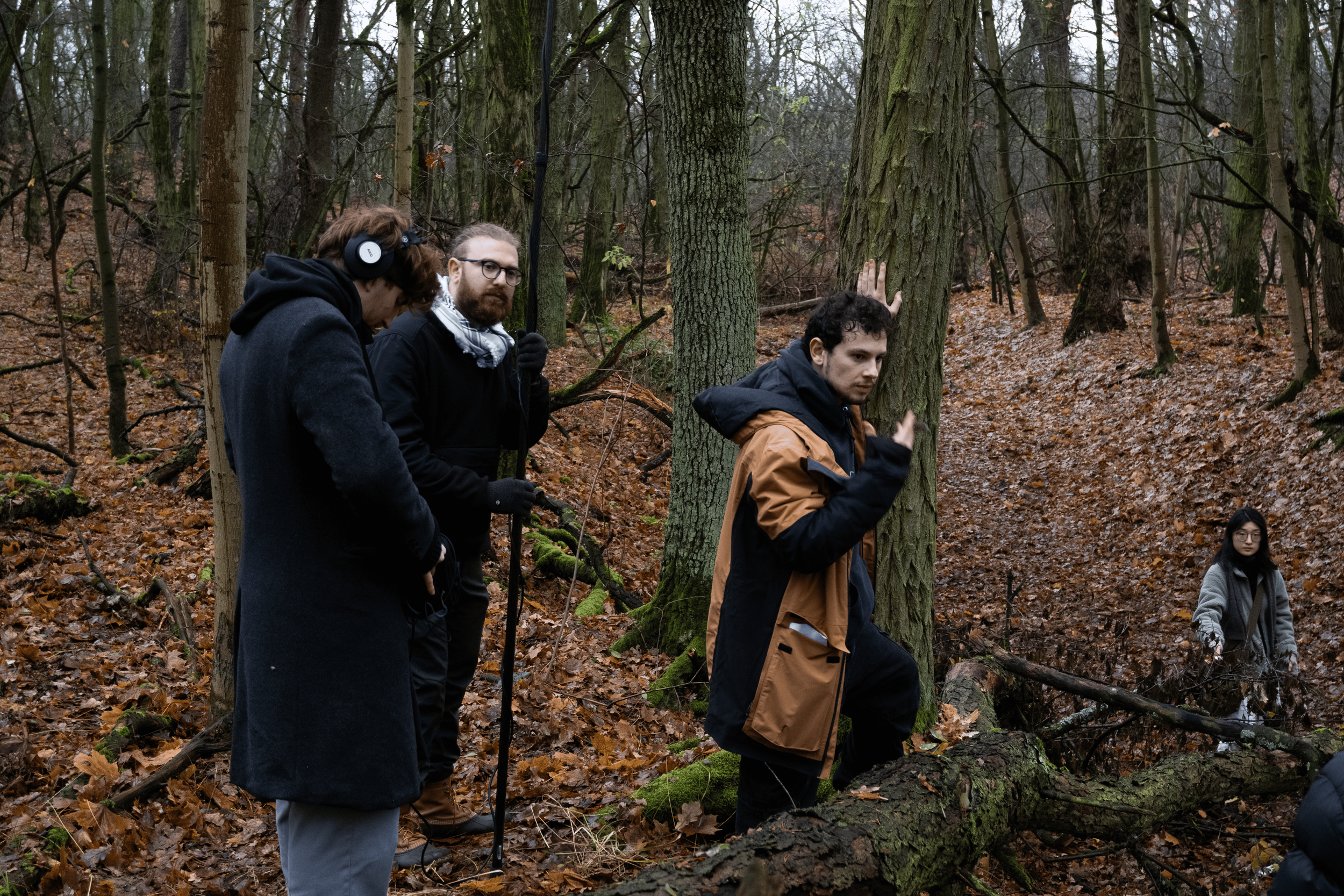 A group of people in a wooded area, some looking at the ground and one standing near a fallen tree, with autumn leaves on the ground and tall trees around.