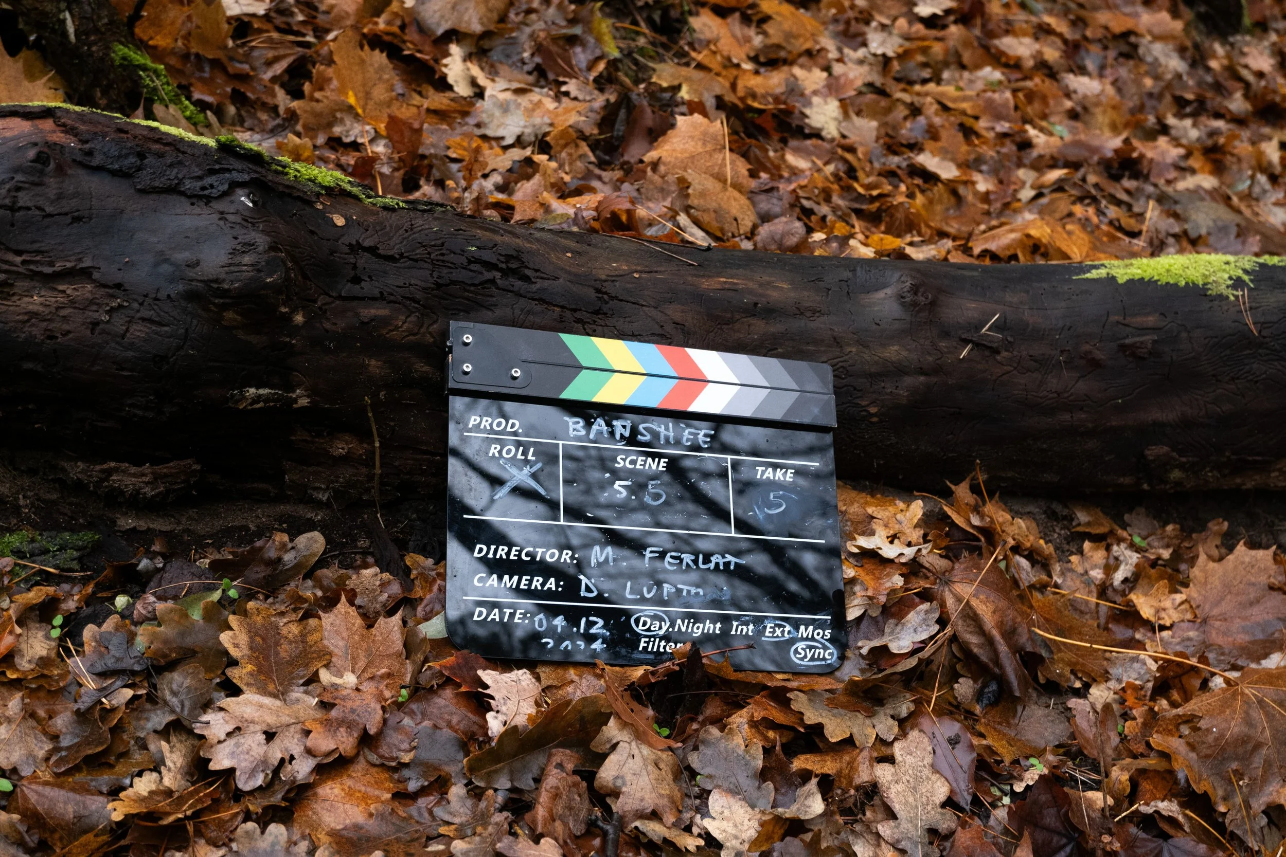 A film slate resting on a bed of fallen autumn leaves in a forest setting, with a fallen log in the background.