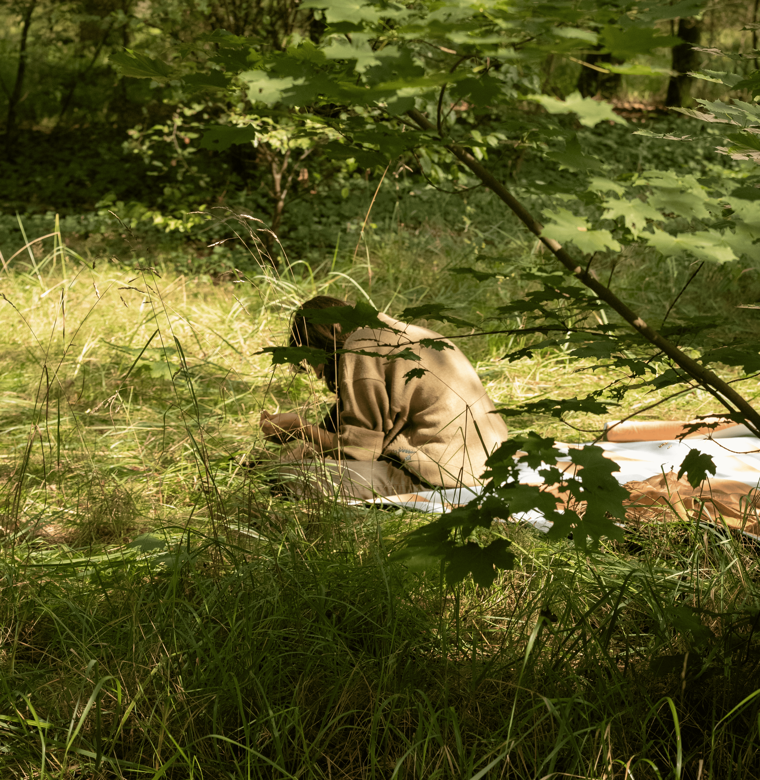 Person sitting outdoors on a blanket under tree leaves in a grassy area.