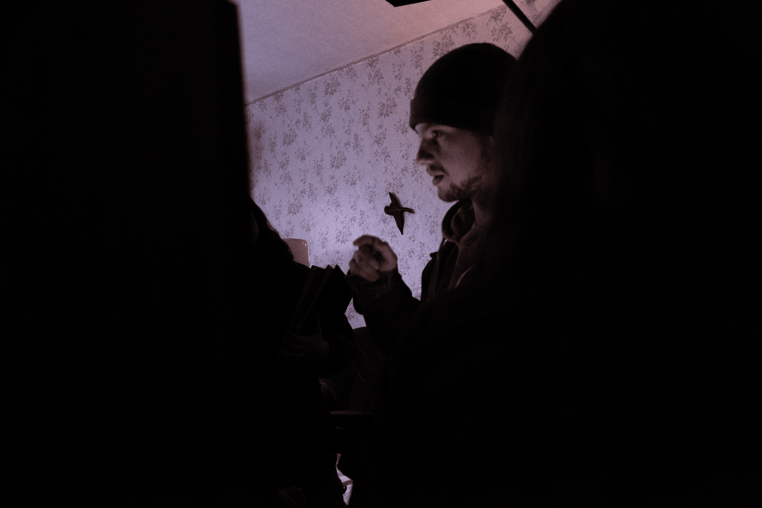 A man wearing a beanie and hoodie, holding his hands together in front of him, is seen in a dark room with patterned wallpaper and a decorative bird on the wall.
