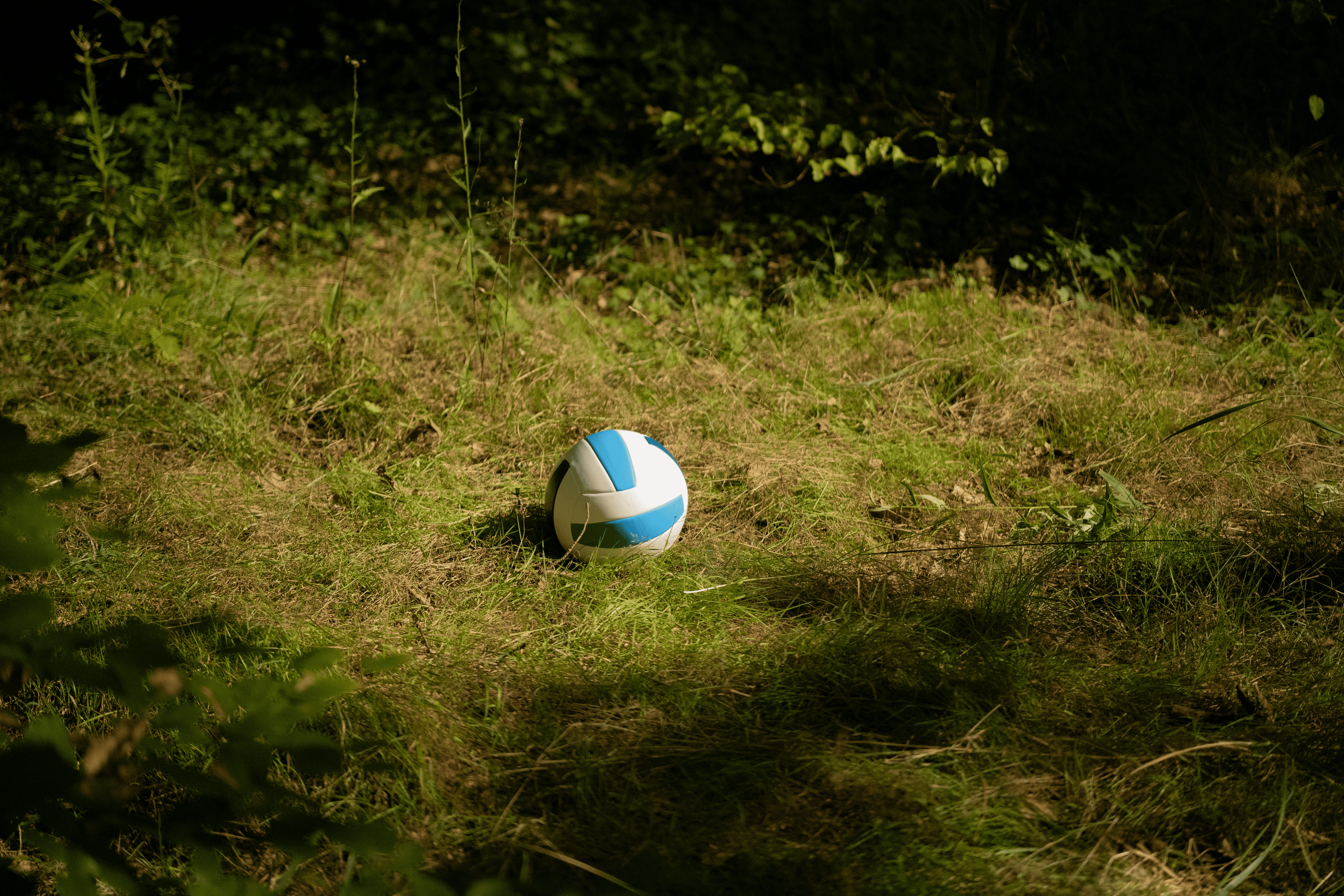 A blue and white volleyball lies on the grass in a shaded outdoor area with greenery around.