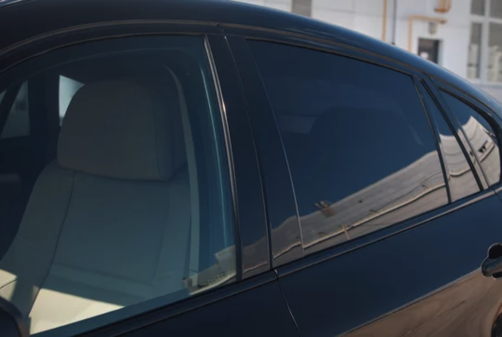 Birds Preserv Back Seat Dark Tint Tesla.png