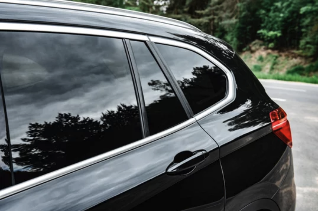 BMW Dark Tint Birds Preserv.png