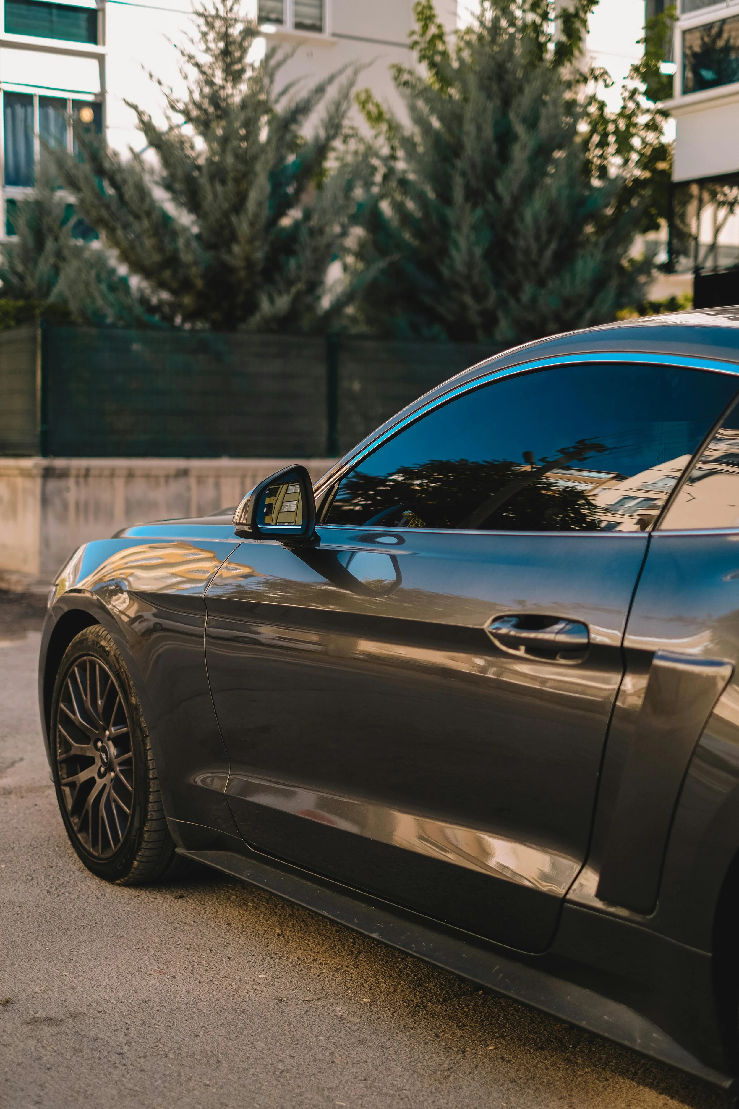 Birds Preserv Sports Coupe Dark Tint.jpg