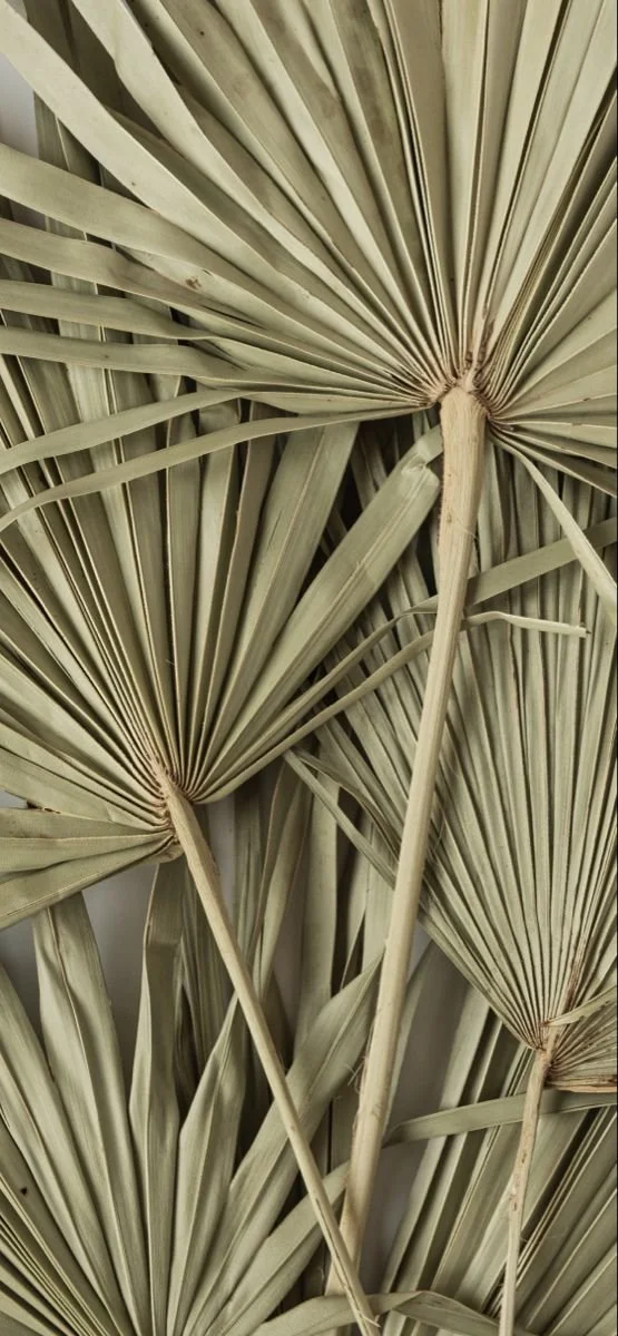 Palm Sunday