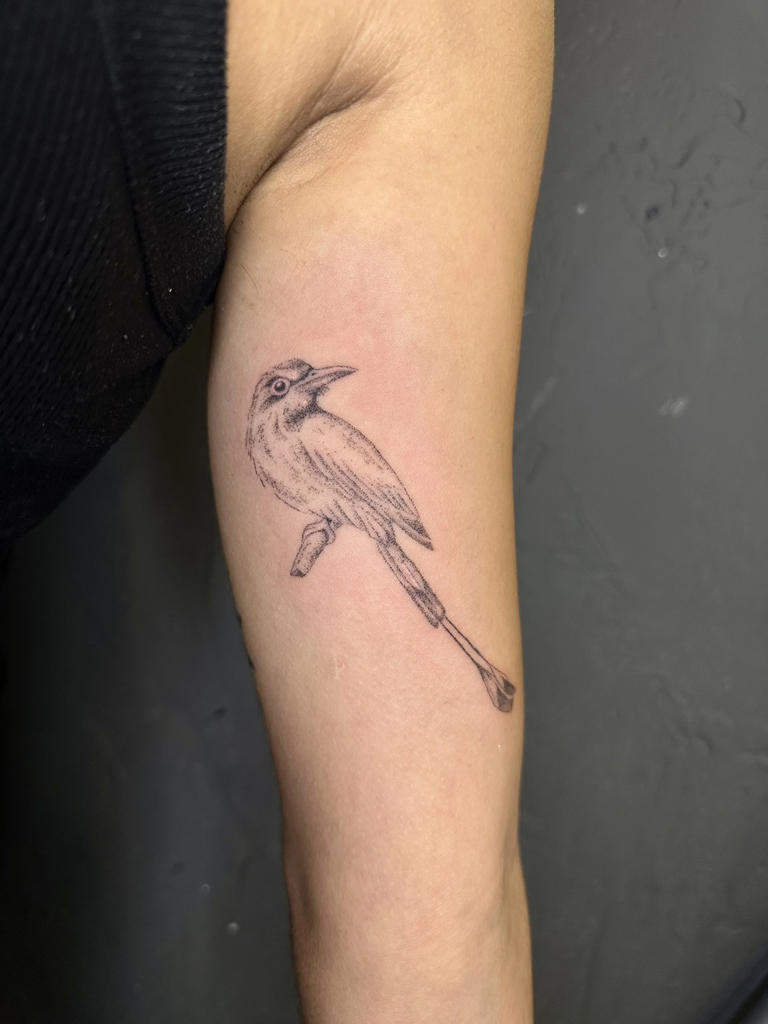 tattoo of a bird