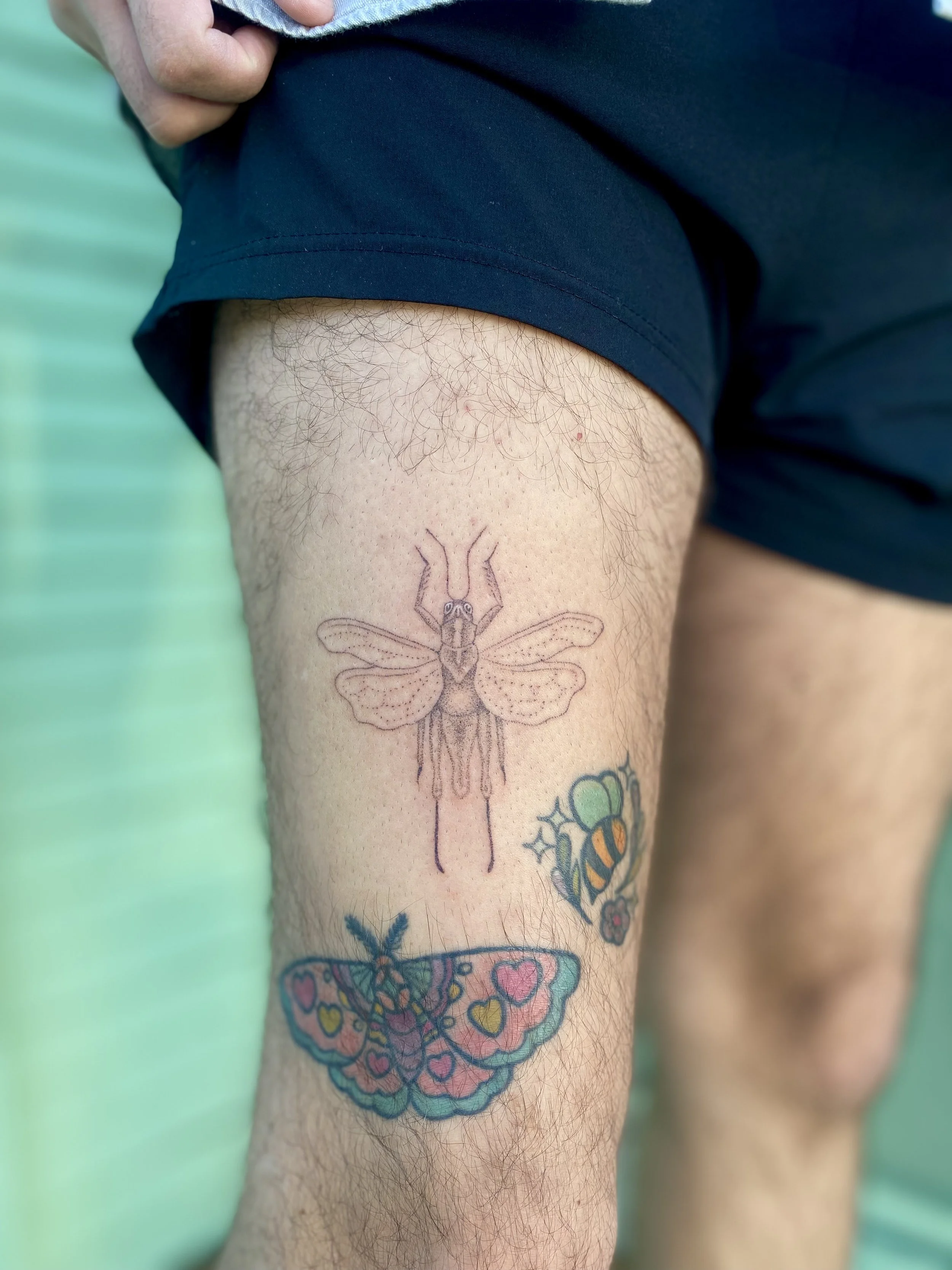 tattoo of a bug