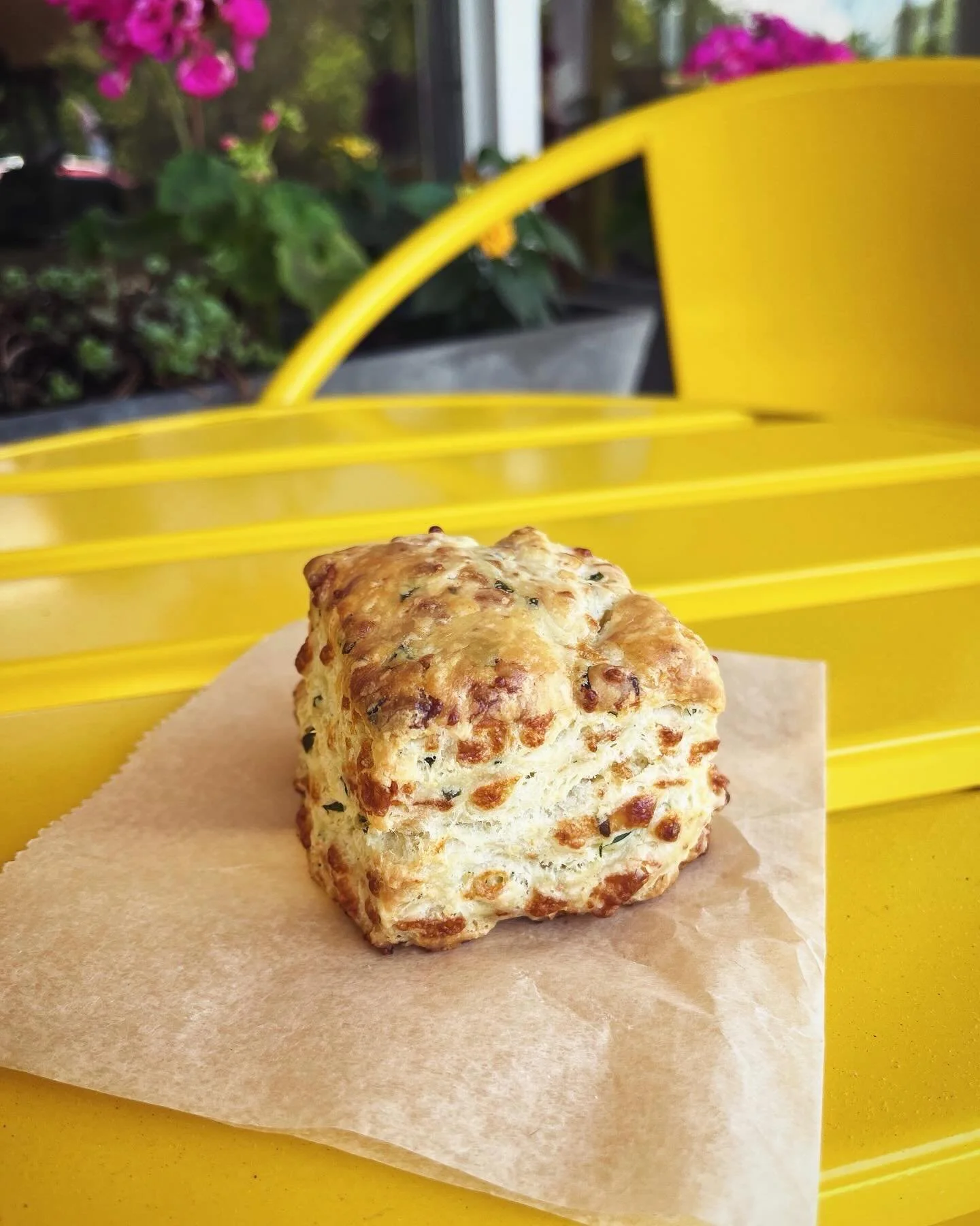 Ramp biscuits are back!! Available daily while ramps are available! 
 
#ramps #ashevillebakery #828isgreat #bakery #avleats