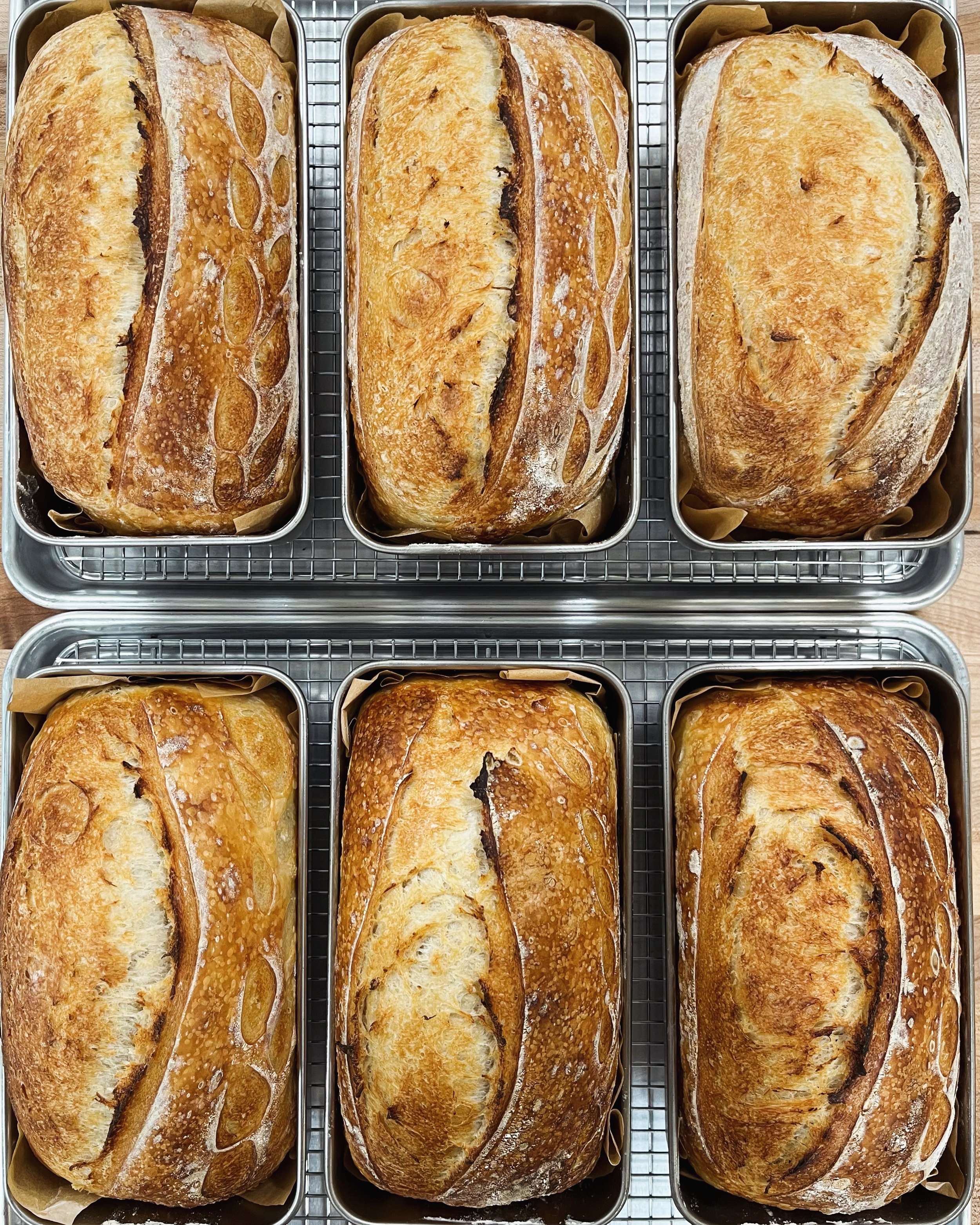 Sourdough Sandwich Loaf