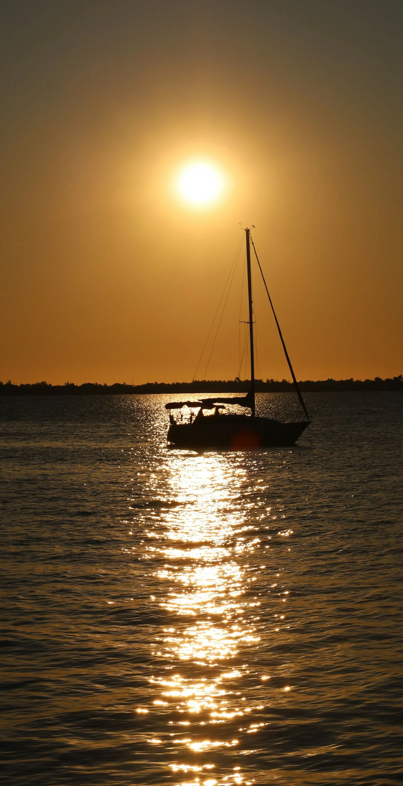 Southwest Florida coastal lifestyle attracting new residents