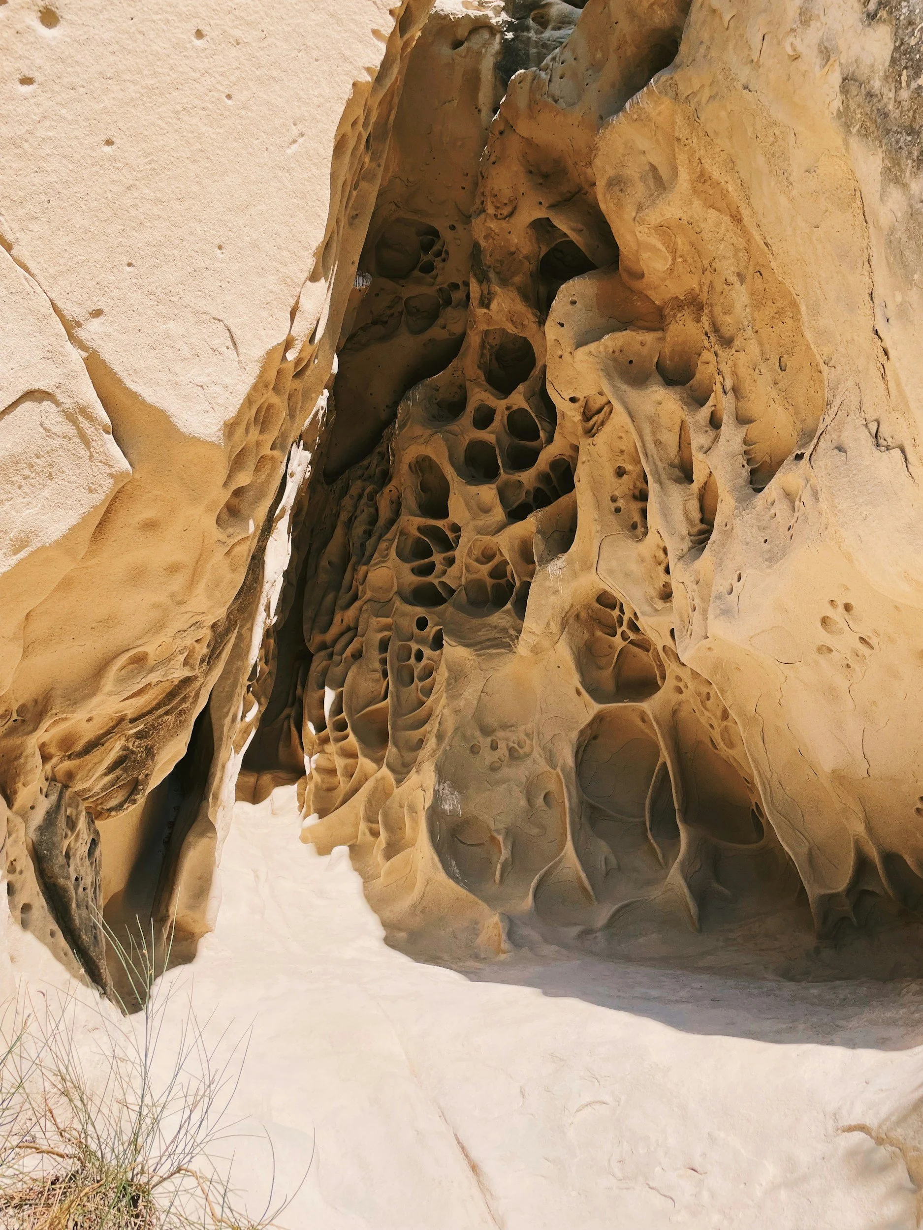 Dry Bones: A Mental Health Perspective on Finding Life Again