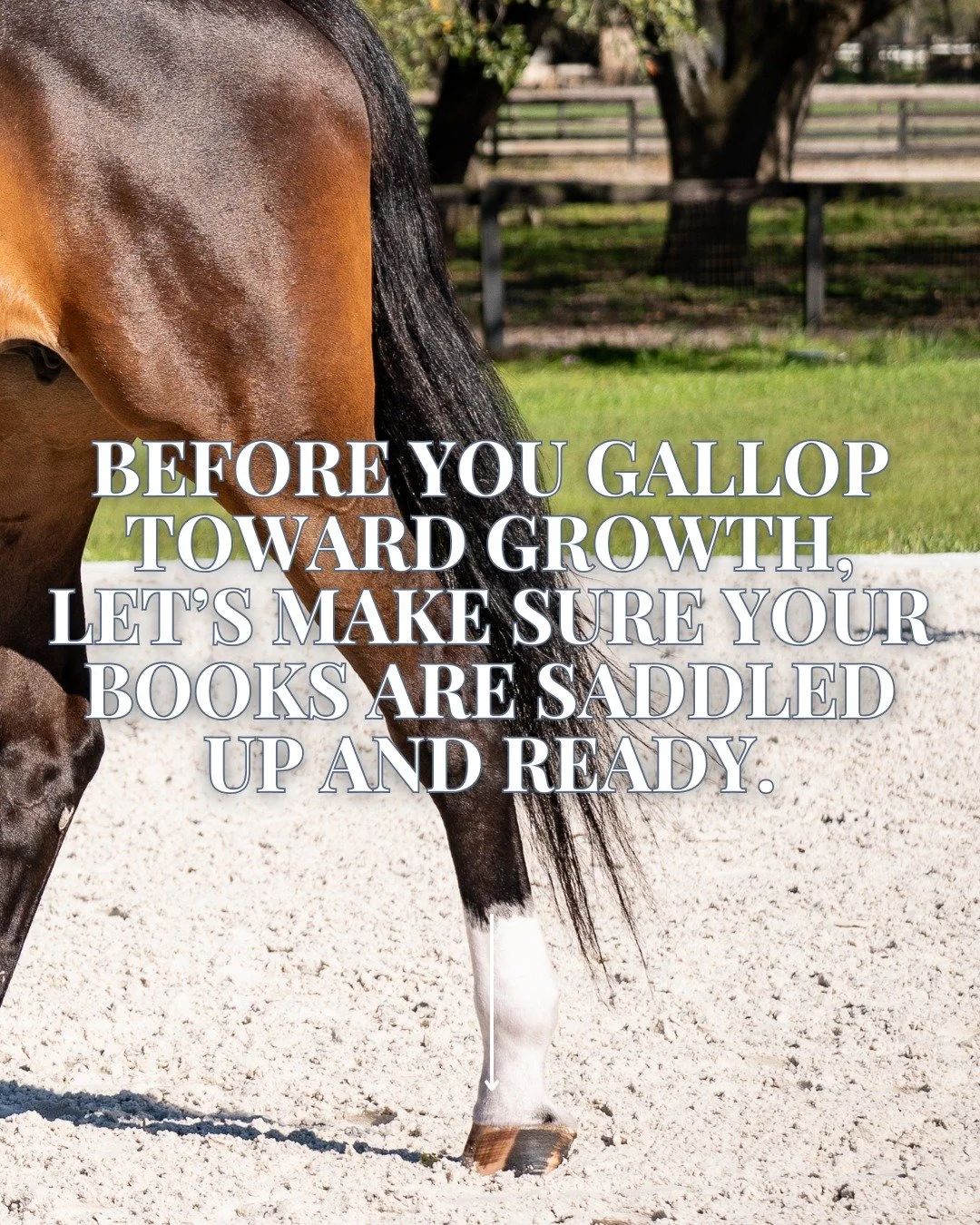 Ready to stop guessing with your finances and start building a strong foundation for your equestrian business?

Whether you&rsquo;re launching a new barn, growing your training program, or turning your horse passion into a business, getting your fina